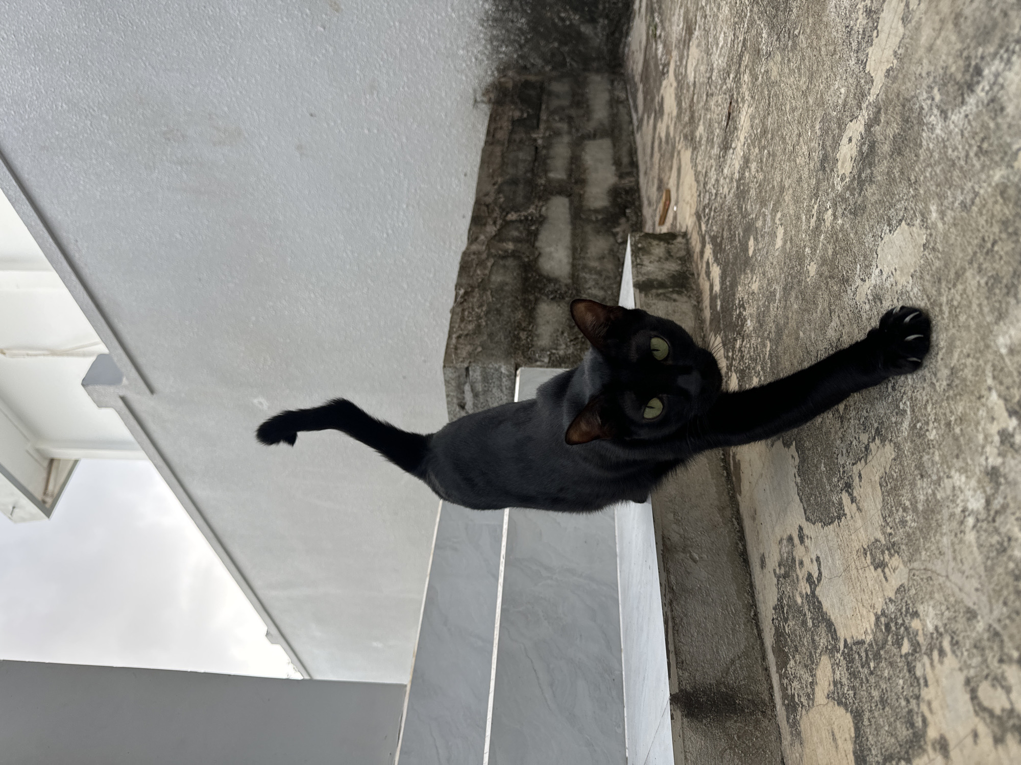 A black cat is prominently featured in this outdoor photograph, captured mid-stretch. The cat's sleek, dark fur contrasts with its bright, luminous green eyes, which gaze directly towards the viewer. Its front right paw is extended forward with claws visible, pressing against a textured, light grey concrete surface. Its body is elongated, with its back leg and tail also stretched out behind it.
The setting appears to be an outdoor area, possibly a staircase or an elevated ledge next to a building, consistent with the user-provided context of Mũi Né, Vietnam. The image is rotated 90 degrees clockwise, presenting the scene with an unusual perspective where a rough, weathered concrete wall, mottled with darker patches and cracks, runs vertically on the right side of the frame. To the left, there are clean, light grey tiled steps or a platform. In the upper left corner, a section of an overcast sky is visible above a white architectural element, suggesting daytime conditions with diffused natural light. No people are present, and there is no visible text. The cat appears relaxed and unbothered, engaged in a natural stretching motion.
