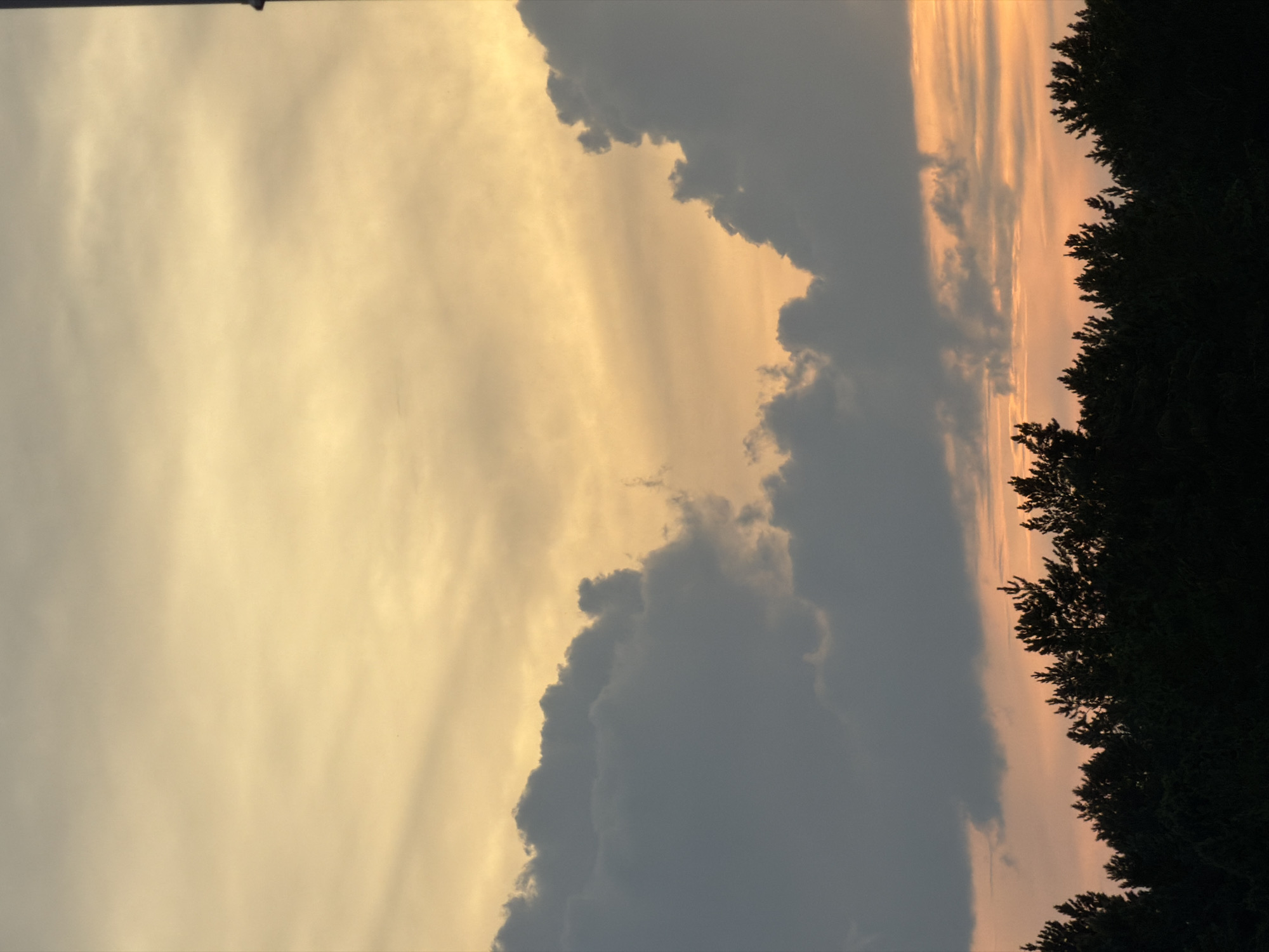 The image captures a sunset scene in Tsiolkovsky, Russia, with a dark silhouette of pine trees forming the foreground. Above the trees, the sky transitions from a pale orange near the horizon to a soft yellow and then a grayish-yellow at the top. Large, dark clouds are prominent in the mid-sky, creating a dramatic contrast with the lighter hues of the sunset. A thin, dark vertical pole is visible on the far right edge of the image, extending upwards.