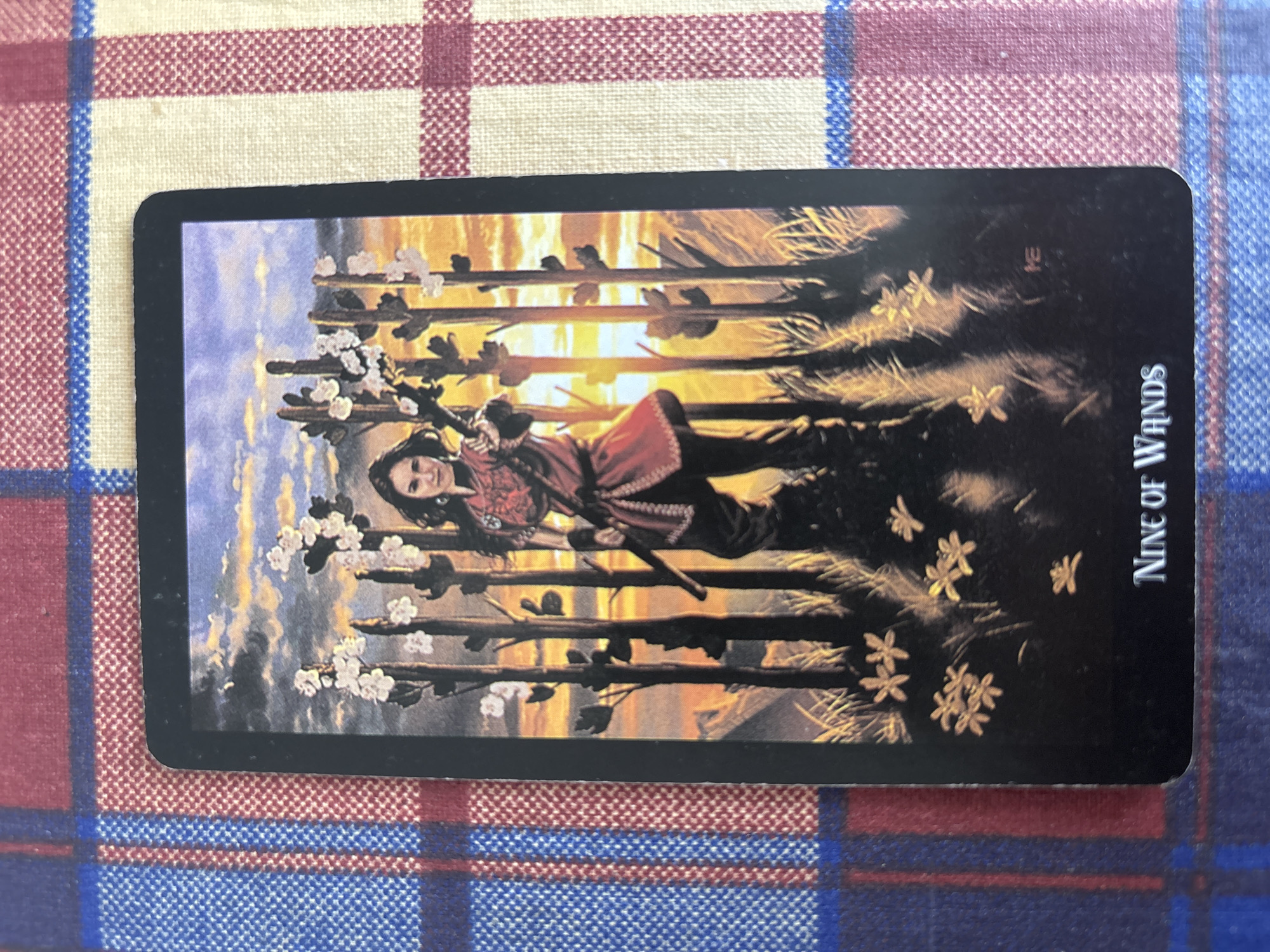 The image shows a tarot card, the Nine of Wands, lying on a checkered cloth with red, blue, and beige squares. The card depicts a person with long dark hair, dressed in a red tunic and black pants, lying on their back. They are holding a sword, and there are nine wands positioned horizontally behind them, some adorned with white blossoms and others with dark leaves. The background of the card features a bright, golden sunset or sunrise with streaks of purple and orange in the sky. The scene appears to be outdoors, possibly in a field or wooded area, with dry grass and fallen leaves visible. The overall mood is one of resilience and weariness, as the figure seems to be recovering from a struggle, indicated by the defensive posture and the numerous wands representing past challenges. The text "NINE OF WANDS" is visible vertically on the right side of the card.