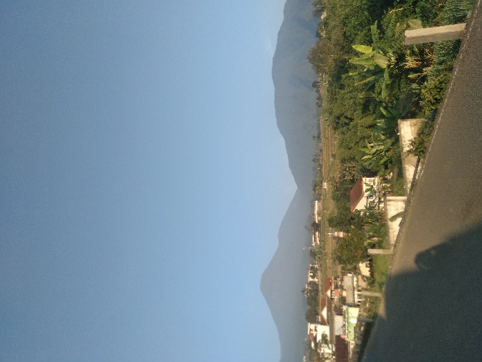 This image presents a panoramic view of a rural mountainous landscape under a clear, bright blue sky, identified as being in Sindangjaya, Indonesia. The foreground is dominated by a paved road or path, sloping downwards from the left. A prominent, dark, elongated shadow, consistent with that of a person or object positioned just outside the frame, extends across the lower-left portion of the road. Along the right side of the road, a series of light-colored, square concrete posts are visible, appearing to delineate an edge or barrier.
The midground reveals a scattered village settlement nestled amidst dense vegetation. Distinct white and light-colored residential structures with various roof types are visible, including a prominent house with a reddish-brown roof positioned centrally. A slender, light-colored mosque minaret with a green cap is discernible above the rooftops on the left side of the village cluster. Surrounding the houses, and extending into the middle distance, is an abundance of lush green foliage, including large-leafed plants resembling banana trees and numerous other deciduous and evergreen trees. Beyond the immediate village and dense tree line, terraced fields with sparse vegetation are visible on the gentle slopes.
The background is dominated by two large, dark blue-green mountains with rounded peaks, rising prominently against the clear sky and forming the horizon line. No individuals or active subjects are present within the frame. The scene is well-lit, indicating daytime conditions with direct sunlight.