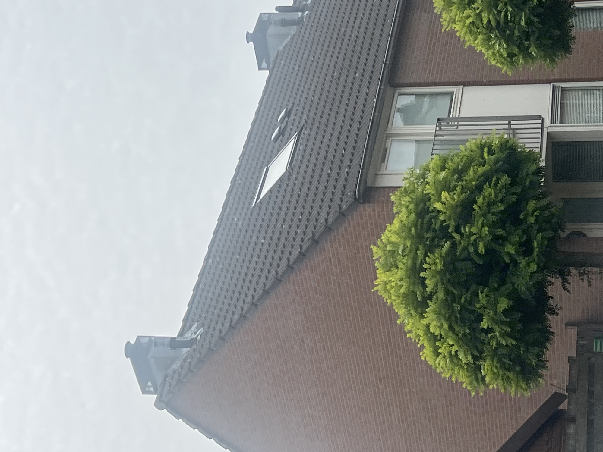 The image shows the exterior of a brick building with a tiled roof, located in Grou, Netherlands. The building has multiple windows and a balcony. Two lush, green trees with rounded canopies are in the foreground, partially obscuring the lower portion of the building. The sky is overcast, suggesting cloudy weather. There are chimneys and a skylight visible on the roof. No people or actions are depicted in the image.