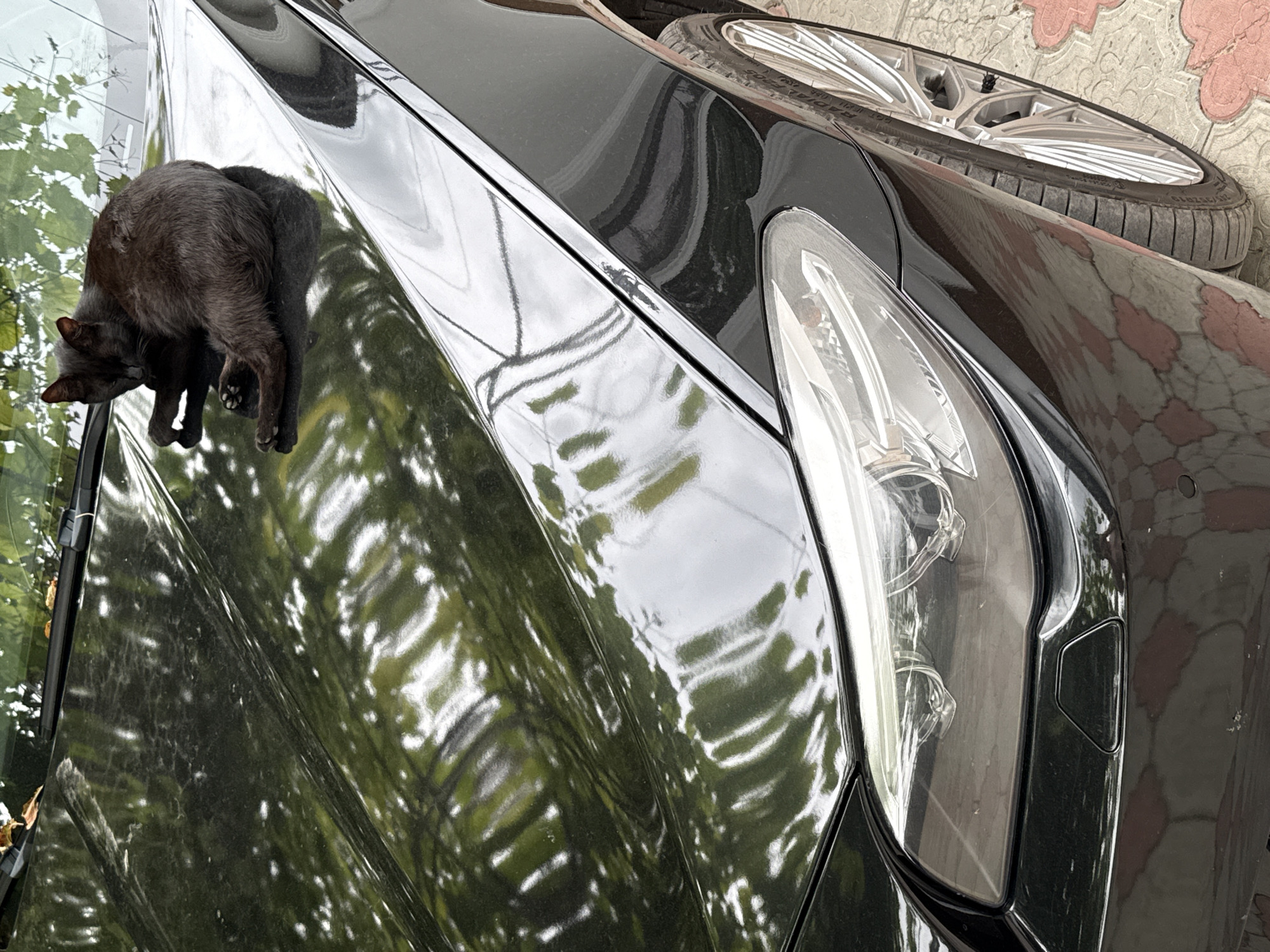 A black cat is resting on the hood of a black car. The cat is curled up on its side, with its head resting on its paws. The car is parked on a paved surface, possibly a driveway or street. The environment appears to be outdoors, with trees and foliage reflected in the car's shiny surface. The lighting suggests it is daytime, with dappled sunlight. The image was taken in Bubuieci, Moldova.