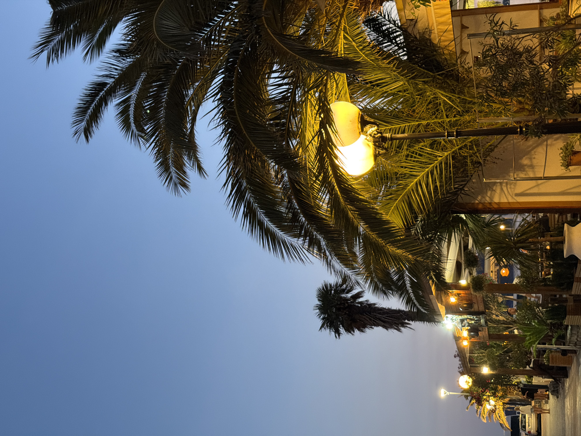 The image, taken at dusk, depicts a street scene in Rafailovići, Montenegro. The sky is a gradient of light blue to dark blue. Palm trees with dense fronds dominate the upper portion of the frame. One palm tree is partially obscured by a street lamp emitting a warm, yellow light. Along the lower right portion of the frame, buildings are visible, interspersed with more palm trees and decorative vegetation. People are walking along a sidewalk, and street lights illuminate the path. Some parked cars are seen.
