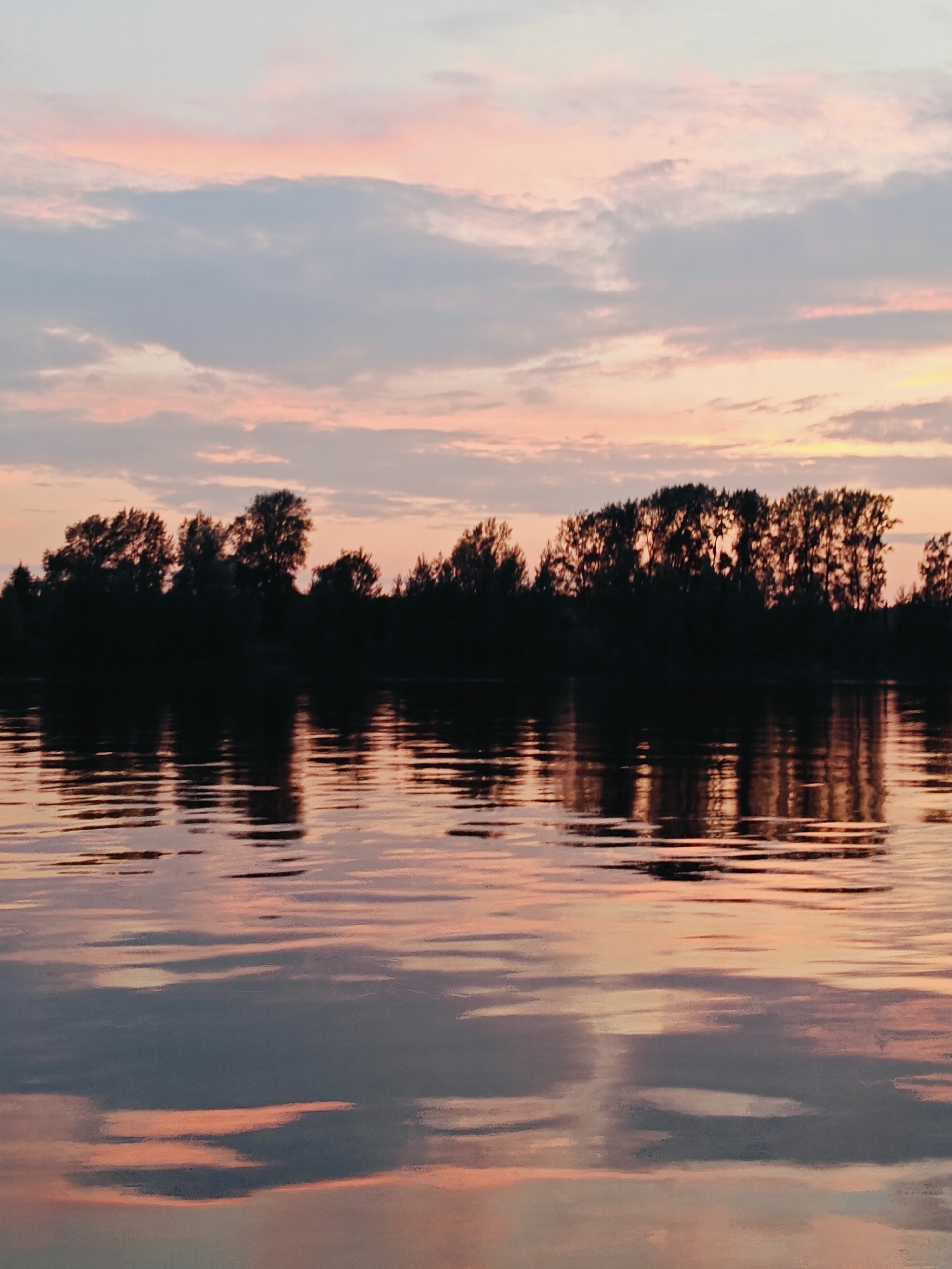 The image depicts a tranquil river scene at sunset, with the sky painted in hues of pink, orange, and pale blue. The reflection of the colorful sky and a silhouetted tree line is visible on the rippling water. The location is identified as Noviy, Russia. The scene is devoid of any people or specific man-made structures, focusing entirely on the natural elements of the landscape.