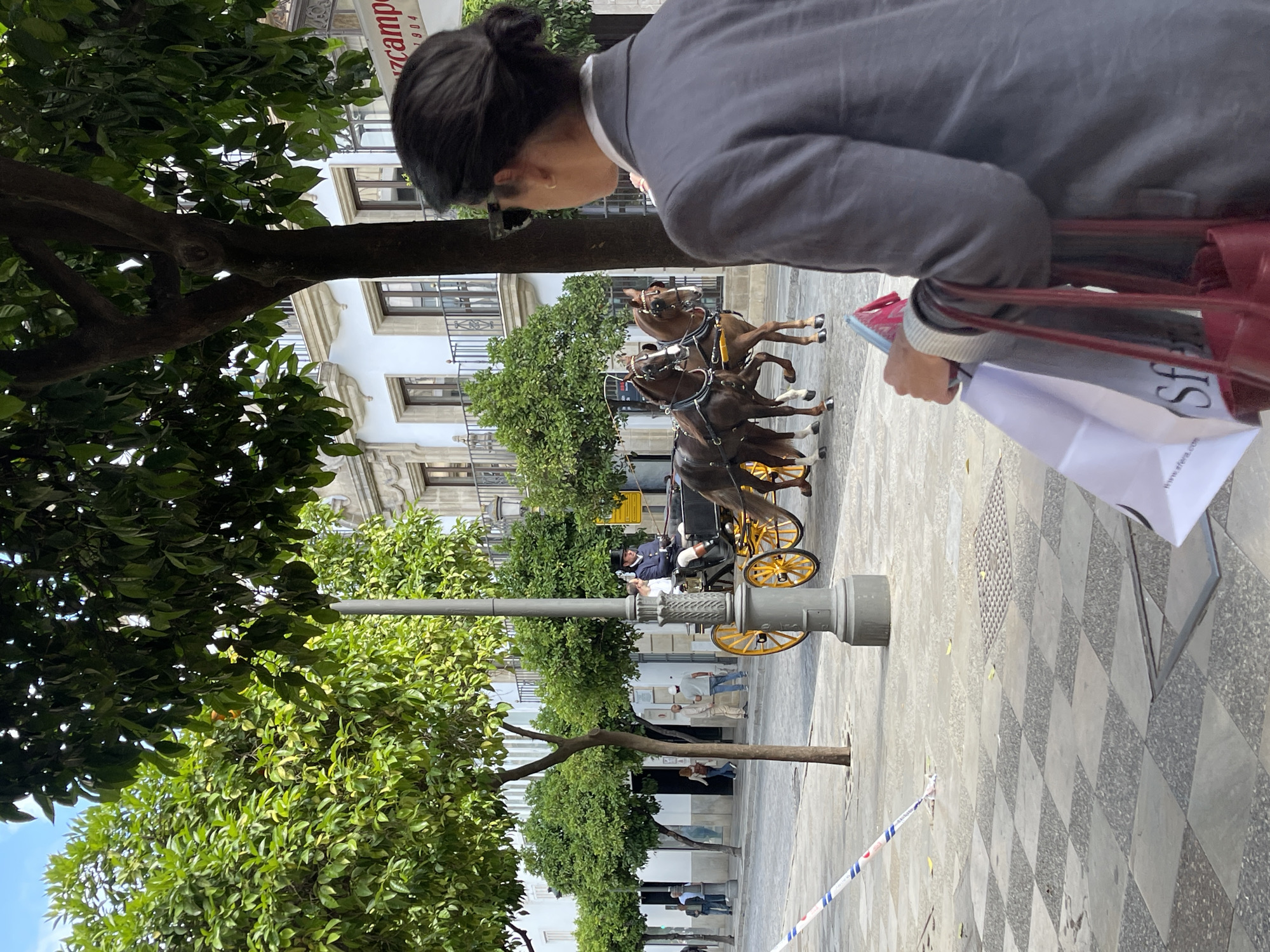The image captures a scene on a checkered-paved street in Jerez De La Frontera, Spain. A person is seen from the shoulders up, wearing a grey suit, holding a shopping bag and a red purse. In the background, a horse-drawn carriage with two brown horses, driven by a person in a blue uniform, is visible. Trees are on either side of the street. Several people stand farther down the road. Buildings with balconies can be seen in the background.