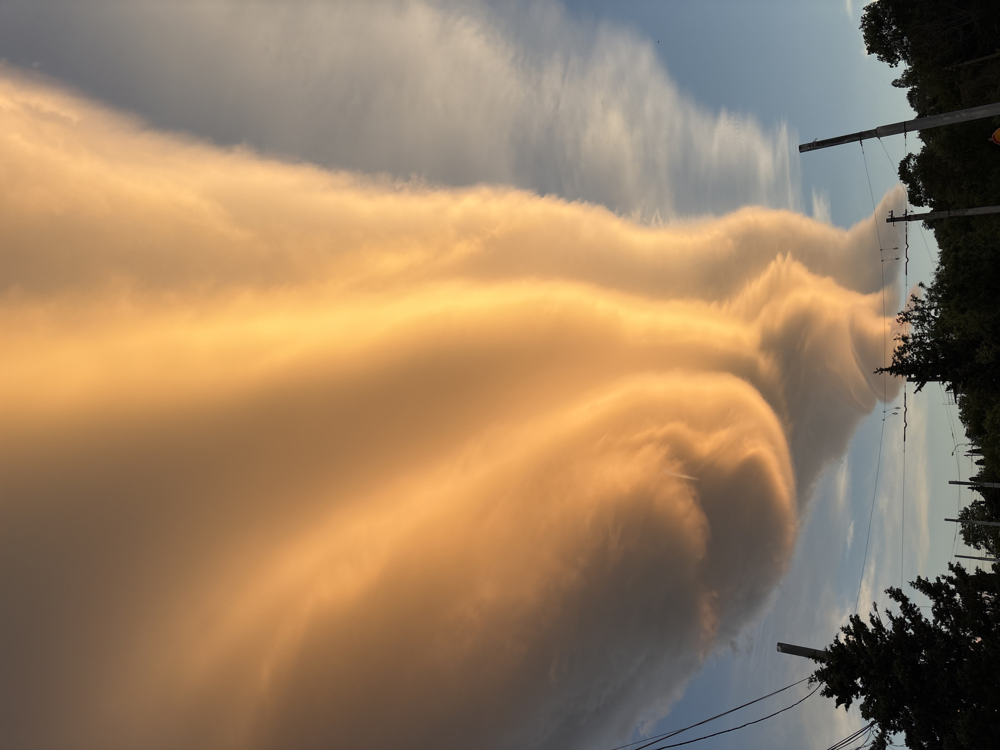 An eye-level, outdoor, horizontal shot depicts an interesting, golden-hued cloud formation over the city of Kiparisnoe, Ukraine. The cloud formation extends across most of the image and is lit by a golden, presumably sunset-like, light. Above the clouds, a patch of blue sky is visible with wispy, white clouds. On the right side of the image, silhouetted trees and utility poles are visible. Wires from the poles stretch down into the lower part of the frame. The overall color palette is dominated by golds, blues, and greens. The sky appears to occupy most of the left portion, while the right side consists of the trees and poles. The perspective is from street-level, looking up and across.