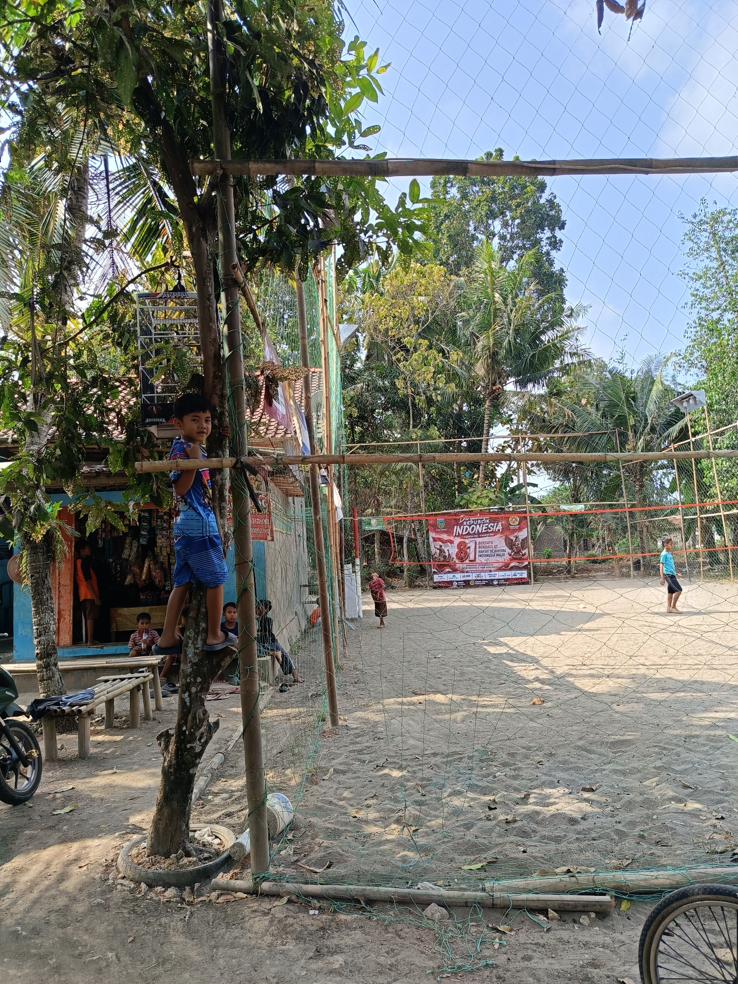 In Buayan, Indonesia, a young boy is climbing a tree near a volleyball court. The court is made of sand and enclosed by a green net. A banner with Indonesian text hangs on the net, celebrating Indonesia's 78th Independence Day. Several other children are visible in the background, some playing on the court and others sitting on a bench. Palm trees and other lush vegetation surround the area, indicating a tropical climate. The scene appears to be a casual gathering in a rural or semi-rural setting, with a volleyball net set up for recreation.