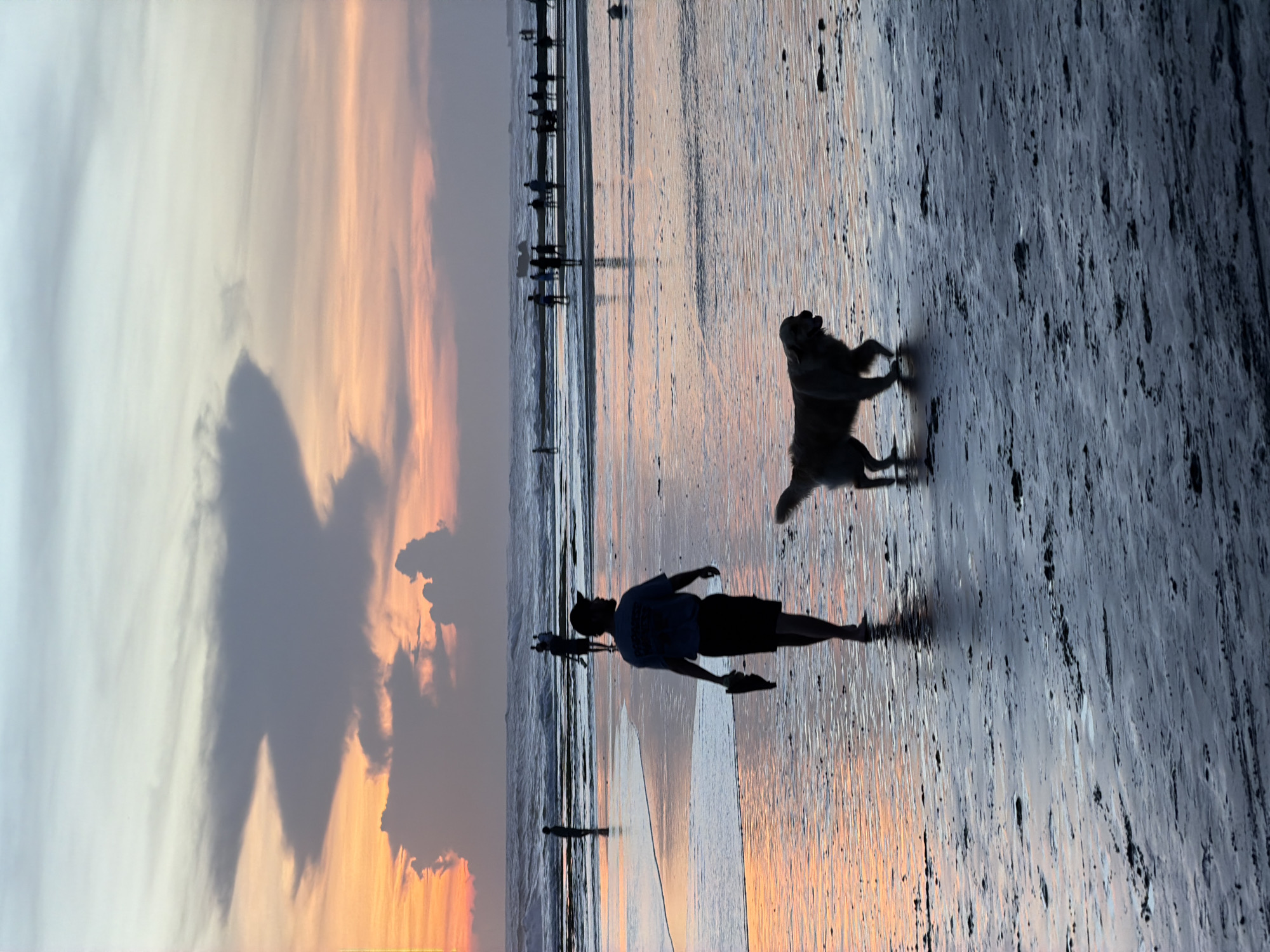 This image captures a sunset scene on the beach in North Kuta, Indonesia. The sky is ablaze with colors ranging from light grey to orange, with a large cloud formation on the left. The wet sand reflects the colors of the sky. In the foreground, there is a silhouette of a man walking barefoot on the beach. Near him, a dog is standing on its hind legs. In the distance, there are figures of people walking along the shoreline.