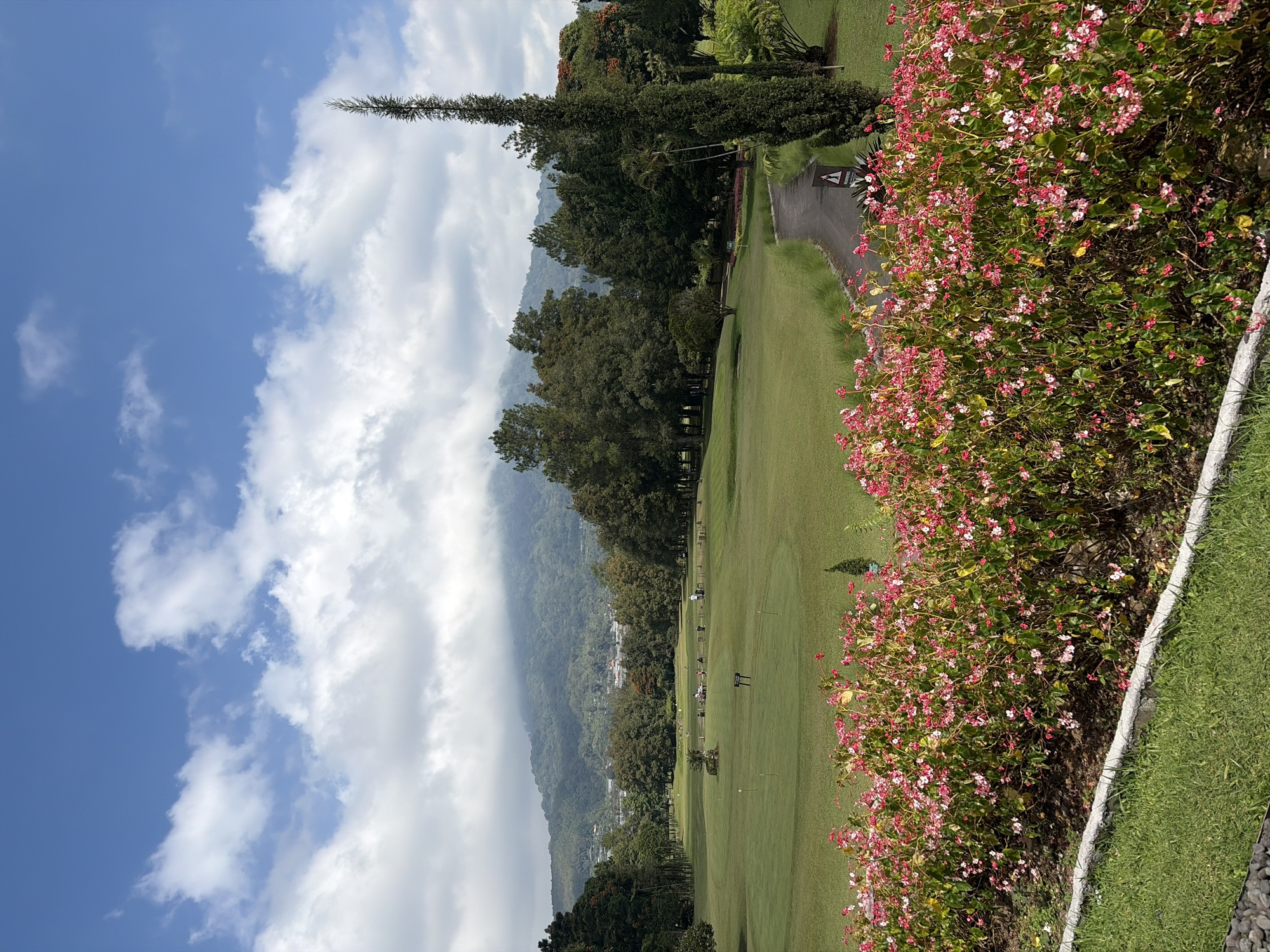 The image depicts a lush green golf course in Sukasada, Indonesia, with a majestic mountain range serving as the backdrop. In the foreground, a vibrant bed of pink and white flowers lines the edge of the golf course, their leaves a rich green. Beyond the flowers, the manicured green fairways of the golf course stretch out, dotted with a few golfers engaged in their game. A winding paved path meanders through the landscape, leading to the deeper parts of the course.
In the middle ground, a dense forest of tall trees frames the golf course, their leaves varying in shades of green. Interspersed among the trees are scattered buildings, suggesting a small town or village nestled within the natural landscape. The forest gives way to the foothills of the mountain range, which are covered in verdant vegetation. The peaks of the mountains are partially obscured by a thin veil of clouds, adding a dramatic touch to the scene. The sky above is a brilliant blue, adorned with fluffy white clouds that cast soft shadows on the landscape.
A tall, slender cypress tree stands prominently on the right side of the image, its dark green foliage creating a striking contrast against the lighter greens of the golf course and the blue sky. The overall impression is one of tranquility and natural beauty, with the golf course seamlessly integrated into the picturesque environment. The image captures a serene moment in Sukasada, Indonesia, where the man-made beauty of a golf course coexists harmoniously with the awe-inspiring grandeur of nature.
