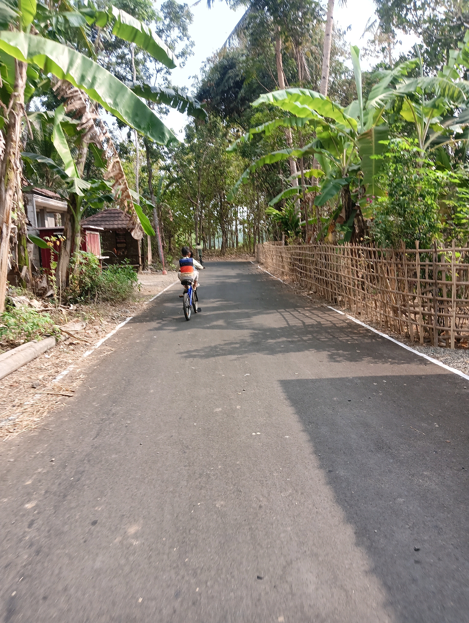 The image shows a young child riding a bicycle on a paved road in Dermasari, Indonesia. The road is lined with banana trees and other vegetation. A bamboo fence runs along the right side of the road. In the background, there are several small buildings, possibly houses. The sun is shining, casting shadows on the road. The child is wearing a colorful vest and appears to be moving away from the camera. The scene depicts a rural or semi-rural environment.