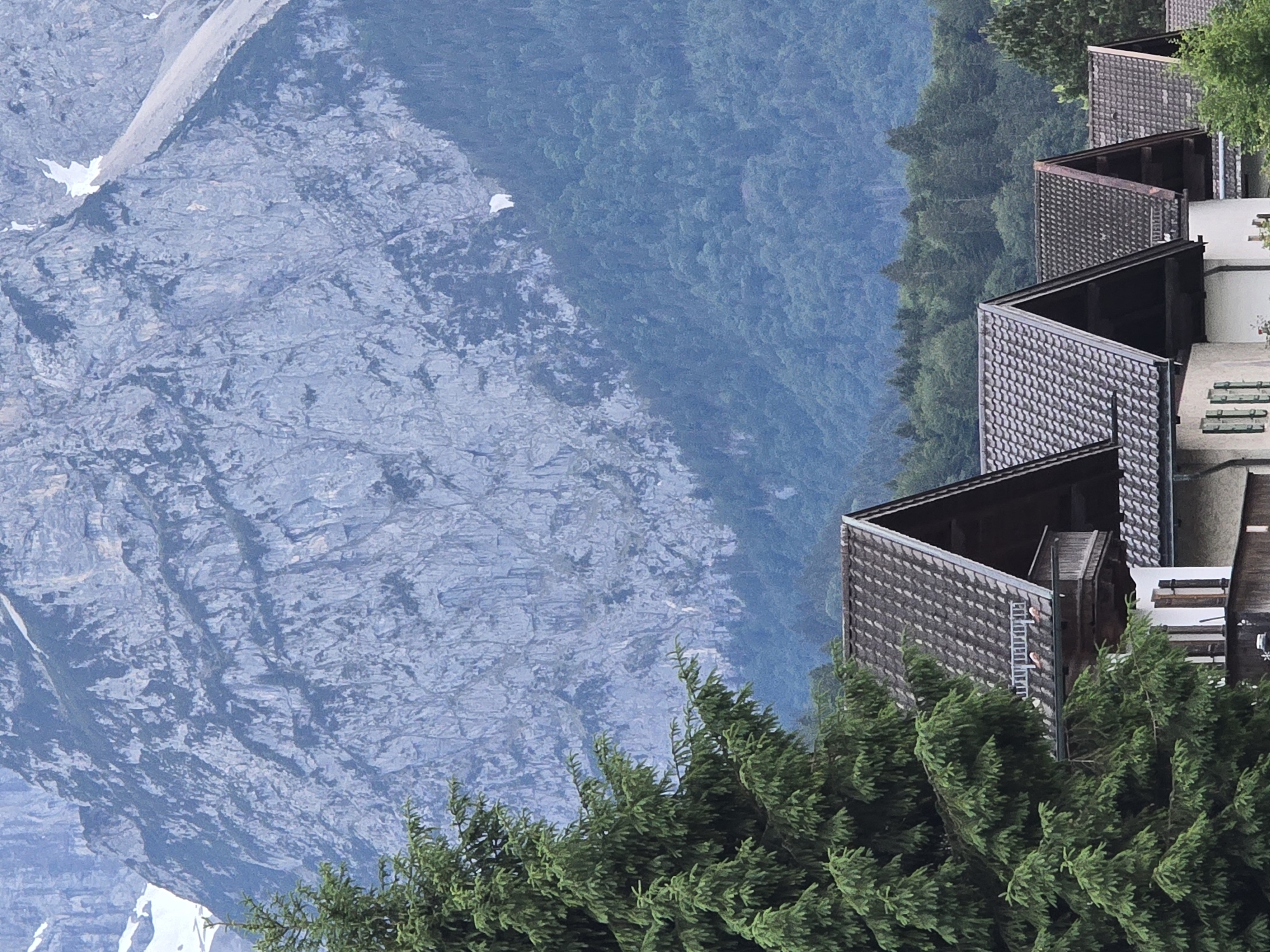 This image presents a detailed view of a mountainous landscape with residential structures in Garmisch-Partenkirchen, Germany. The upper two-thirds of the frame are dominated by a massive, rugged, light-grey rock face of a mountain, characterized by numerous vertical and horizontal fissures, ledges, and darker patches of sparse coniferous vegetation. White snow patches are visible at higher elevations on the mountain's upper left and upper right slopes. Below the rock face, a dense, dark green coniferous forest covers the lower mountain slopes and extends into the midground.
In the foreground, on the left side, a large, vibrant green coniferous tree with dense foliage occupies a significant portion of the frame, partially obscuring the structures behind it. In the lower third of the image, a row of traditional Alpine-style houses is visible. These houses feature steeply pitched roofs covered with dark grey tiles. The house most prominent on the left includes a brown wooden balcony with a white railing. Visible wall sections appear light-colored, with dark shutters on one window. The houses are positioned at the base of the forested mountain slopes. No individuals or specific actions are discernible within the scene. The lighting is diffused, indicating an overcast sky or twilight conditions, which lends a muted color palette to the distant mountain and a richer green to the foreground foliage.