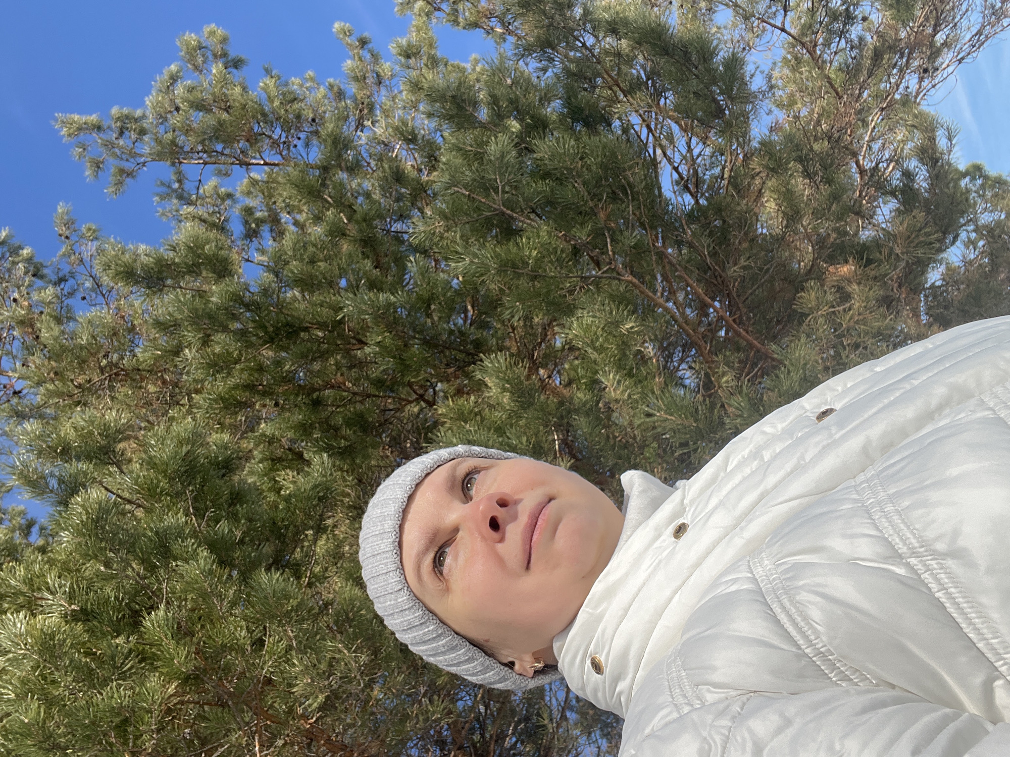 An adult female is depicted outdoors in Chaikovsky, Russia, viewed from a low angle, upper body visible from the chest up. She wears a light grey ribbed knit beanie and a white quilted jacket with a high collar and visible gold-colored snap buttons. Small gold hoop earrings are present. Her face is turned slightly to the right, and her gaze is directed upwards and to the right. The background is dominated by dense green coniferous foliage, consistent with pine trees, featuring numerous needles and several small pine cones. Portions of a clear, bright blue sky are visible through gaps in the tree canopy, indicating a sunny day. No other individuals or man-made structures are discernible.