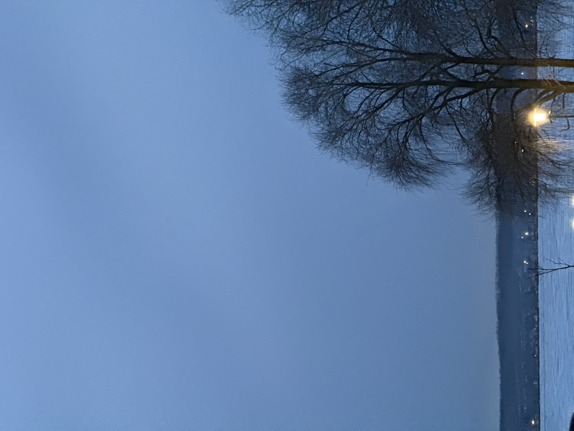 The image depicts a serene scene in Votkinsk, Russia. A body of water, likely a lake or river, occupies the right portion of the frame, its surface reflecting a series of lights along the shoreline. A tree with bare branches dominates the upper right quadrant, its silhouette stark against the muted blue sky. The sky, gradient in tone, fills the left side of the image, suggesting either dusk or dawn. The scene conveys a sense of tranquility and stillness, typical of a waterfront setting.