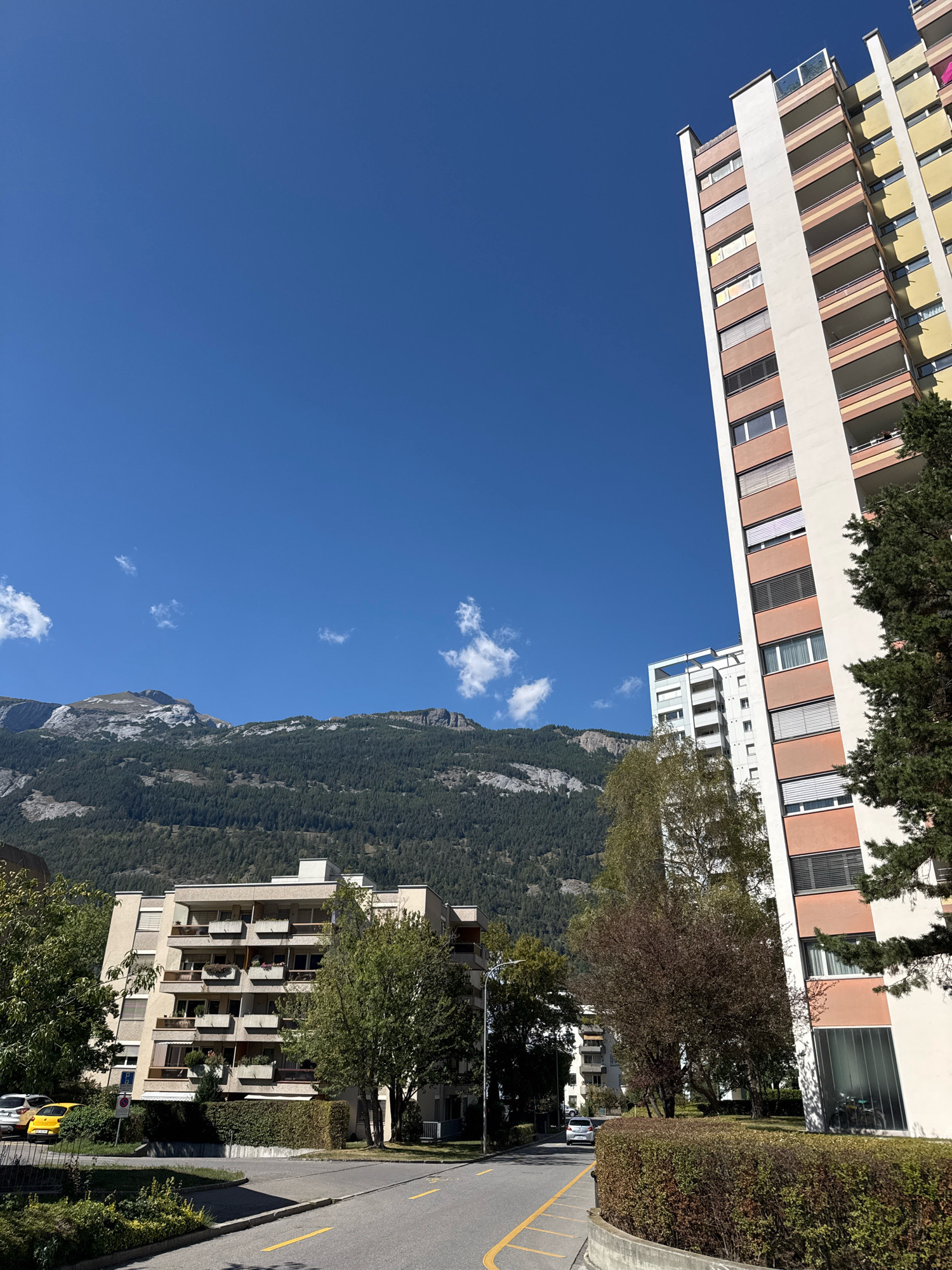 The image shows a street scene in a residential area with a clear blue sky and distant mountains. In the foreground, a paved road with yellow lane markings curves to the right. On the right side of the road, a meticulously trimmed hedge runs along a concrete barrier. Behind the hedge, a tall apartment building with a white and pink facade stands prominently, featuring multiple balconies with railings and rows of windows. To the left of this building, a smaller, white apartment building is visible. Further to the left, a mid-rise apartment building with a beige facade and numerous balconies is situated. In front of this building, several parked cars are visible, including a yellow one. Trees with green foliage are scattered throughout the scene, and a dense forest covers the slopes of the mountains in the background. The overall impression is a well-maintained urban environment with a backdrop of natural scenery.