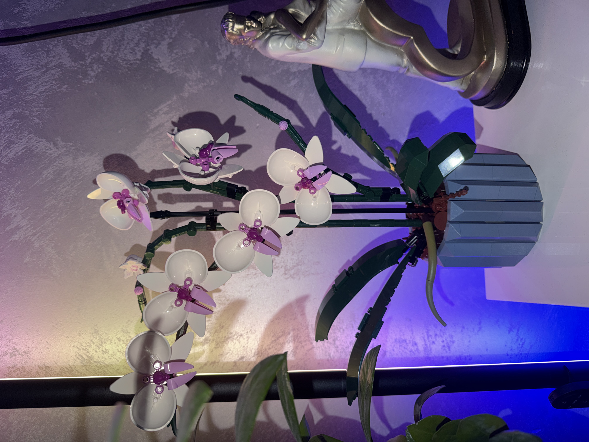 The image shows a LEGO orchid plant with white and purple flowers in a gray and brown LEGO pot. The plant is positioned in front of a wall that is half white and half gray with a mottled texture. A blue LED light strip is visible at the bottom of the frame, casting a blue glow on the lower portion of the wall. In the upper part of the image, above the orchid, there is a metallic statue of a reclining figure. The entire scene is lit with a mix of ambient and colored lighting. The city of Varna, Bulgaria, is not directly represented in the image, and there is no identifiable indication of its location.