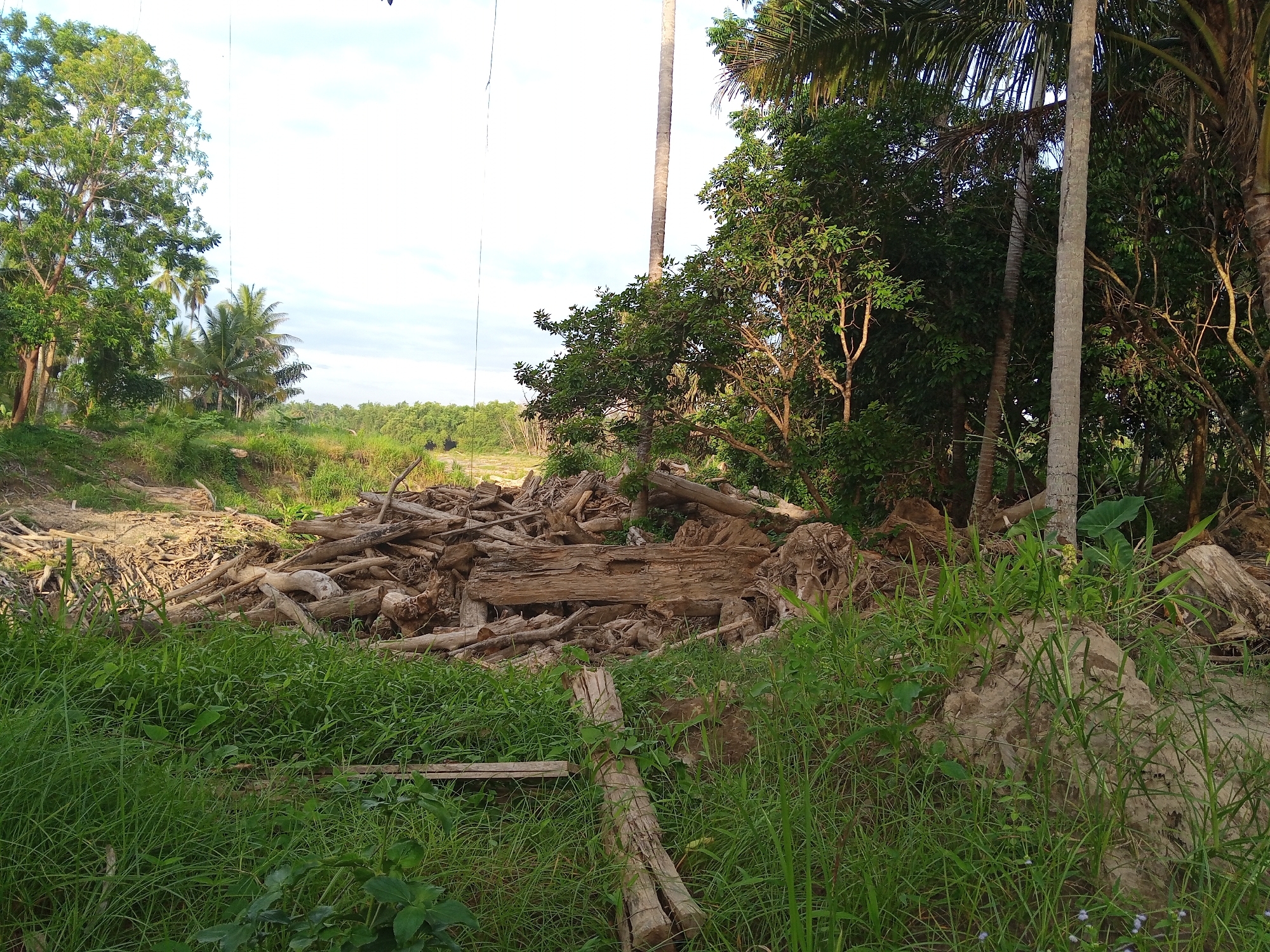 The image shows a rural scene in Kruengbeukah, Indonesia. A large pile of logs and tree roots dominates the center of the frame. Green grass grows in the foreground and along the base of the log pile. Trees surround the area, with some palm trees visible on the right side and in the background. Utility poles and wires are visible in the sky. The land appears uneven and disturbed, with exposed soil in some areas. No people or animals are visible in the image.