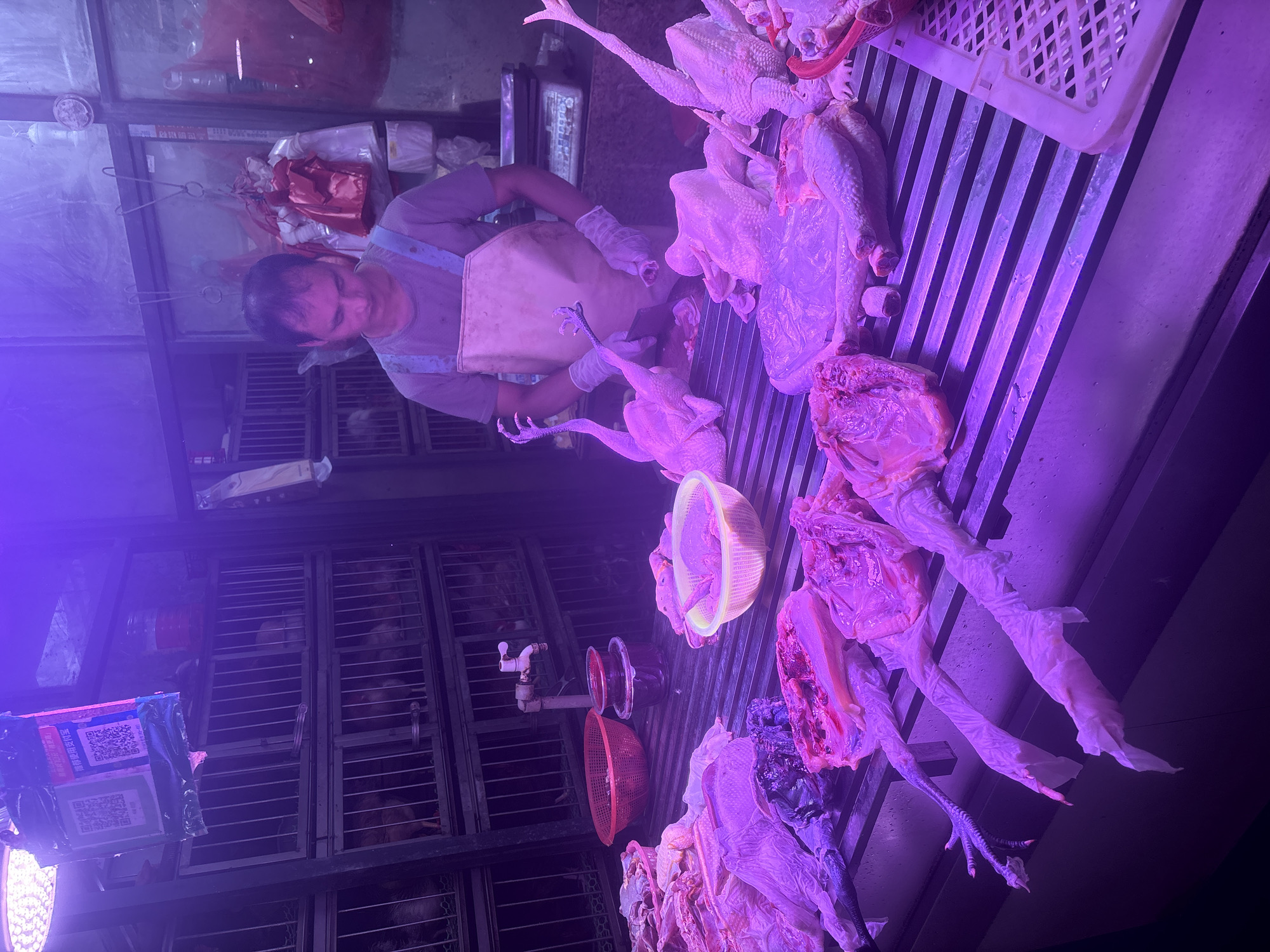 In a dimly lit, purple-hued stall in the Nanhai District of China, a butcher is preparing chickens. He is wearing a light-colored apron over a gray t-shirt and white gloves. In front of him, on a metal display rack, are several whole chickens, some with their feet exposed, arranged for sale. Some of the chickens appear to be processed, with visible cuts and exposed meat. To the left, a red plastic basket and a dark container are visible, along with more raw chicken parts in plastic bags. In the background, stacked cages hold more live chickens, and a faucet is mounted on the wall. QR codes are displayed prominently near the top of the frame, likely for payment or information. A scale is visible behind the butcher, indicating the setting is a marketplace or butcher shop. The overall impression is of a busy, functional food stall.
