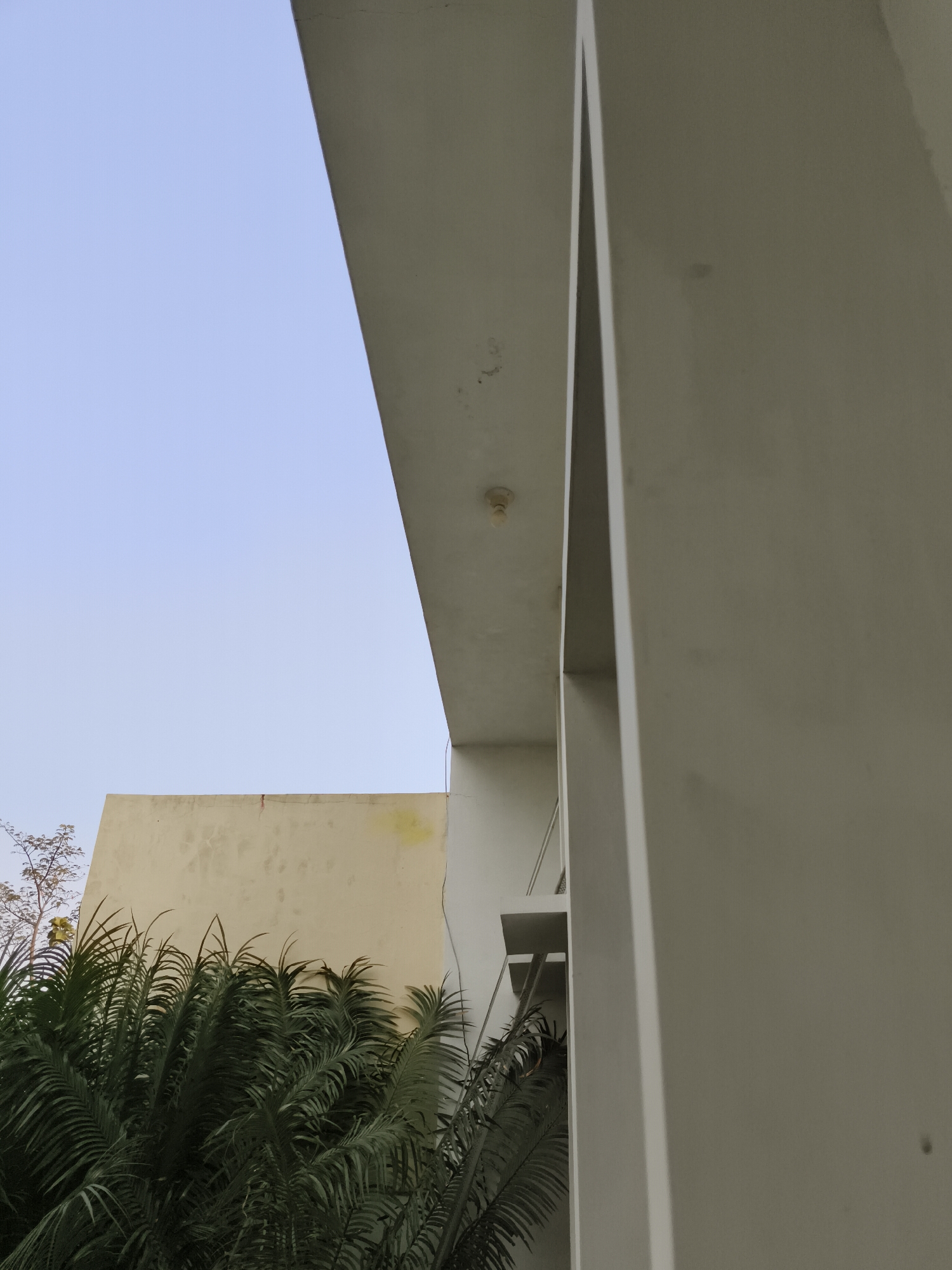 The image depicts an outdoor scene with a light blue sky. In the foreground, lush green palm fronds dominate the lower portion of the frame. Behind the palm fronds, a pale yellow building is visible. To the right of the yellow building, a white modern structure with angular lines and a recessed opening is present. A small, circular smoke detector is mounted on the underside of the white structure's overhang. The image appears to have been taken from a low angle, looking upwards. The overall impression is one of architectural contrast with natural elements.