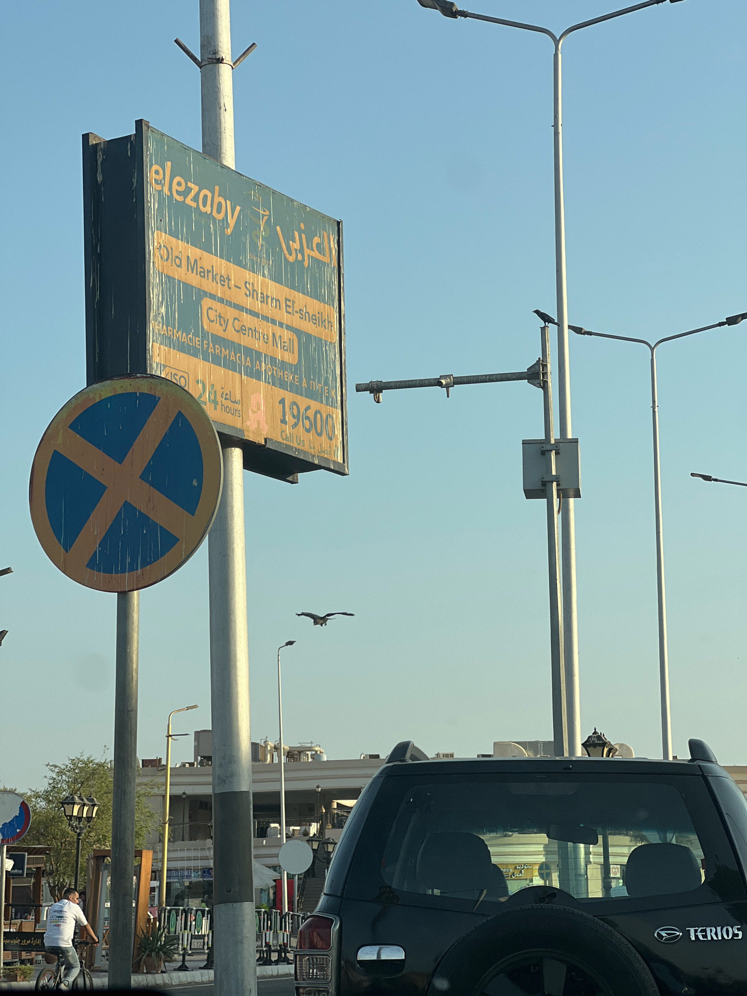 The image depicts an outdoor scene in Sharm El Sheikh, Egypt, likely a street in the city. A prominent teal and green sign with yellow text hangs from a pole, reading "elezaby" in English and Arabic script, followed by "Old Market - Sharm El-Sheikh" and "City Centre Mall". Below this, "PHARMACIE FARMACIA APOTHEKE" is visible, suggesting a commercial area. A "No Parking" sign, a circular blue sign with a yellow 'X', is mounted on a separate pole to the left of the main sign.
Several birds are present in the sky; one is perched on a lamppost in the mid-ground, and another is in flight. The background shows streetlights, buildings with awnings, and what appears to be a busy road with a black SUV visible in the foreground. A person is riding a bicycle on the left side of the image, facing away from the camera. The sky is clear and blue. The overall impression is a snapshot of urban life in a tourist destination.