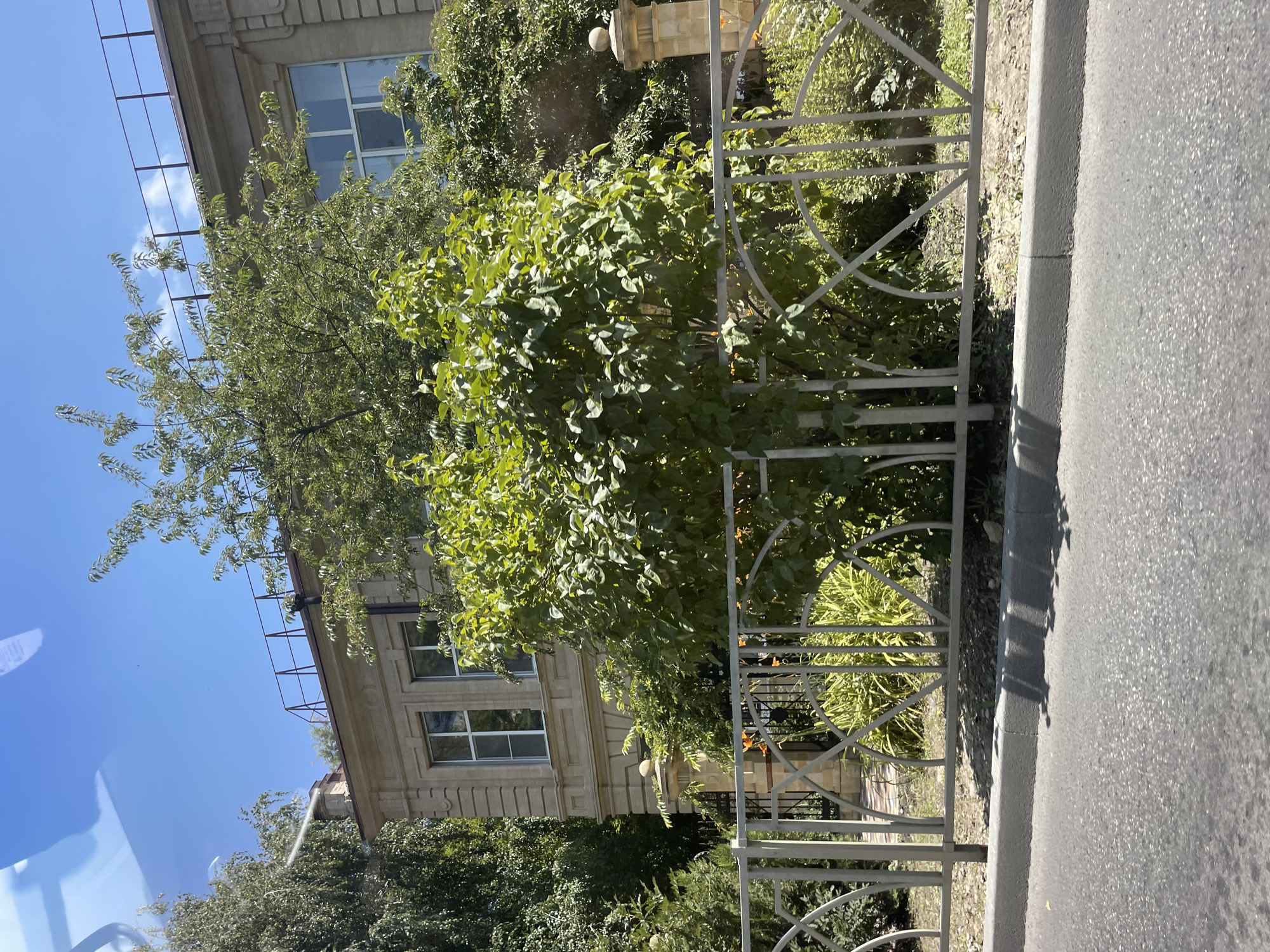The image depicts a building with a light-colored stone facade, featuring large windows with white frames. A metal fence with an ornate design separates the building from the foreground, where a gray asphalt road and curb are visible. Lush green trees and bushes surround the building and are visible behind the fence. The sky is clear and blue. Based on the provided crops that indicate the location as Stavropol, Russia, the scene is likely a street in the city. There are no people or animals visible in the image, nor any discernible actions or interactions. The environment appears to be a sunny day with the sun casting shadows on the road.