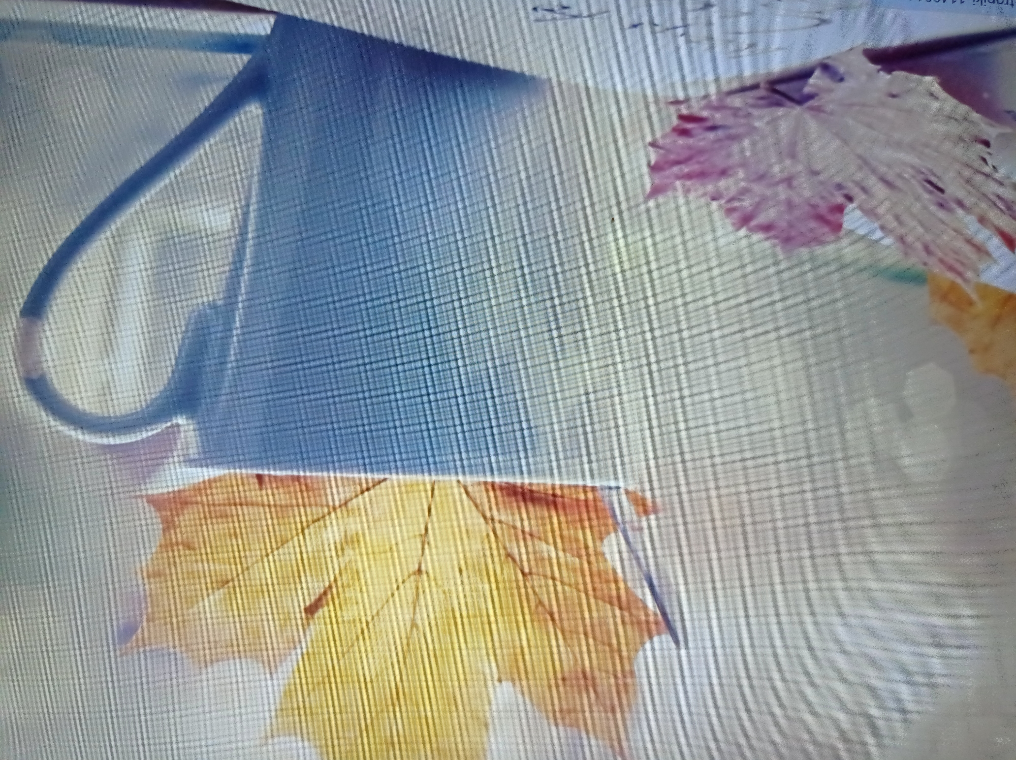 The image depicts a close-up view of a light blue mug with a spoon inside, holding autumn leaves. A large, yellowish-orange maple leaf is prominently placed within the mug, with a spoon's handle visible beneath it. To the left of the mug, a smaller, pinkish-purple leaf rests on a surface, likely a book or table. The background is softly blurred, with warm, diffused light suggesting an indoor setting. The scene evokes a cozy, autumnal atmosphere. There is no information in the image to suggest a location in Mukachevo, Ukraine.
