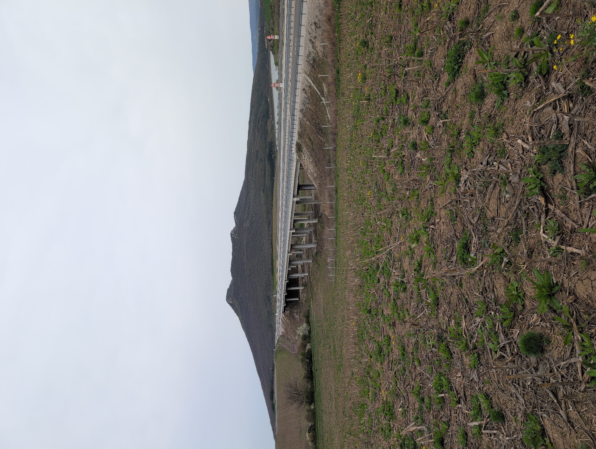 The image depicts a landscape near Buhovtsi, Bulgaria. A highway overpass spans a field. A mountain rises to the left of the overpass. The sky is overcast. The field is covered with dry vegetation and sparse green plants. The highway has a guardrail. The supports for the overpass appear to be made of concrete. There is a sparse growth of vegetation beneath the overpass.