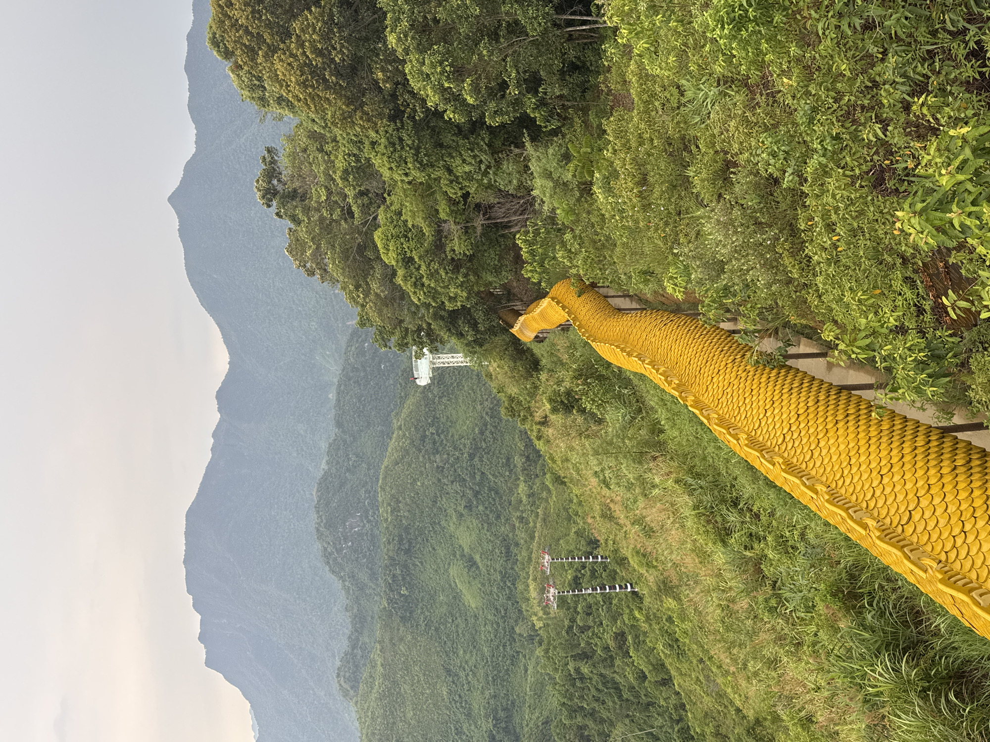 The image, when correctly oriented, showcases a majestic mountainous landscape under a bright, slightly hazy sky. A prominent golden structure, meticulously crafted to resemble a dragon's or serpent's body with distinct scales, winds diagonally down a verdant hillside from the upper right to the lower left. This serpentine pathway or railing is a striking man-made element within the natural setting.
The foreground and midground are dominated by lush, green vegetation, including dense trees, bushes, and tall grasses, covering the slopes around the golden structure. In the background, multiple layers of forested mountains stretch into the distance, their contours gradually fading into lighter shades, suggesting atmospheric depth and haze.
Several man-made structures are visible amidst the natural scenery. On one of the distant green mountain slopes, two sets of white and black striped pylons, possibly supporting a cable car system or power lines, stand out. Further away, a white metal lattice structure, resembling a cable car tower or an observation deck, can also be seen.
The scene depicts a peaceful daytime setting with soft, ambient lighting. The combination of natural grandeur and the distinctive golden dragon structure strongly suggests a cultural or tourist attraction within a mountainous region. The location context of Đà Nẵng, Vietnam, aligns well with this type of scenic and culturally significant landscape. There is no visible text in the image.