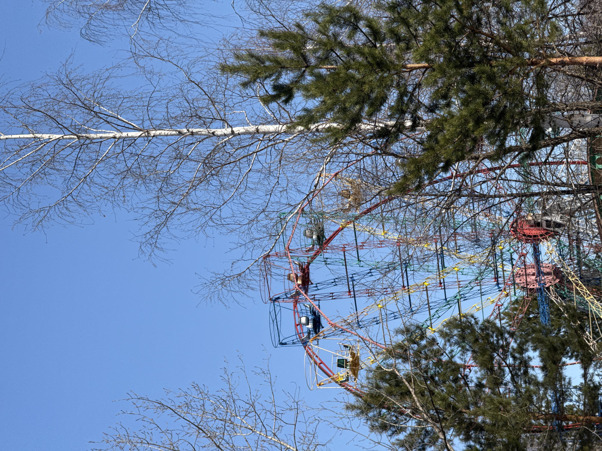 The image shows a Ferris wheel surrounded by trees against a clear blue sky. The Ferris wheel has multiple cars, some of which appear to be occupied. The location is in the city of Chaikovsky, Russia. The image suggests a recreational or amusement park setting.