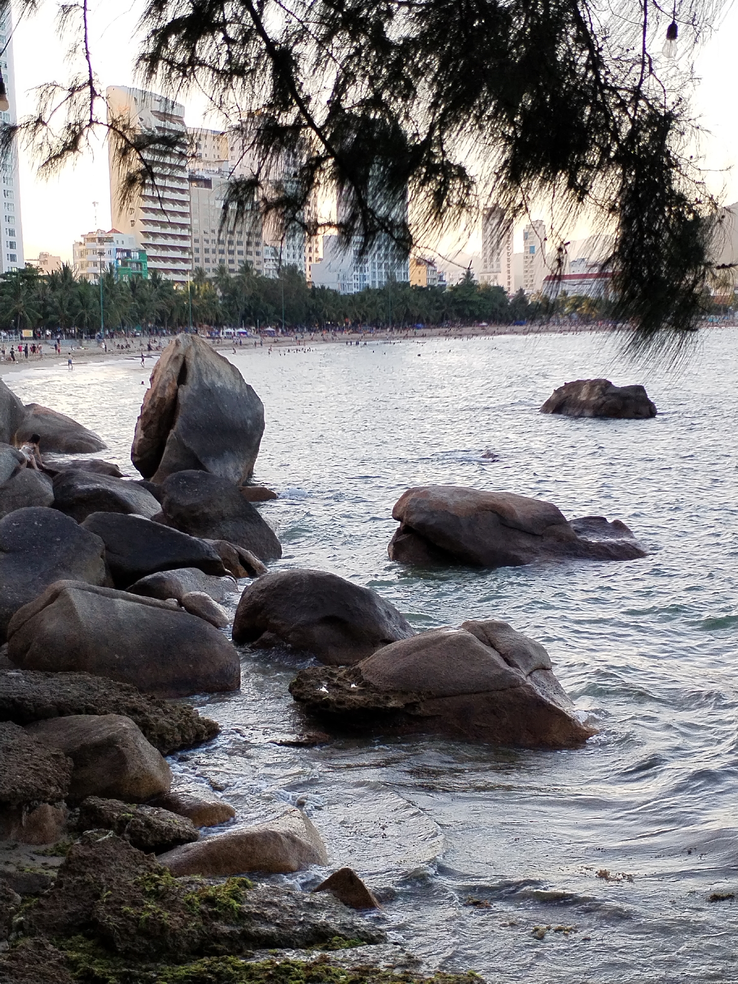 The image captures a beach scene in Bac Nha Trang Ward, Vietnam. Large, dark-colored rocks dominate the foreground, some submerged in the water. The water is calm with small waves. In the background, a beach is visible with people, backed by a cityscape of modern buildings. A tree branch hangs in the upper portion of the image, partially obscuring the view. A child is visible on the rocks in the foreground.