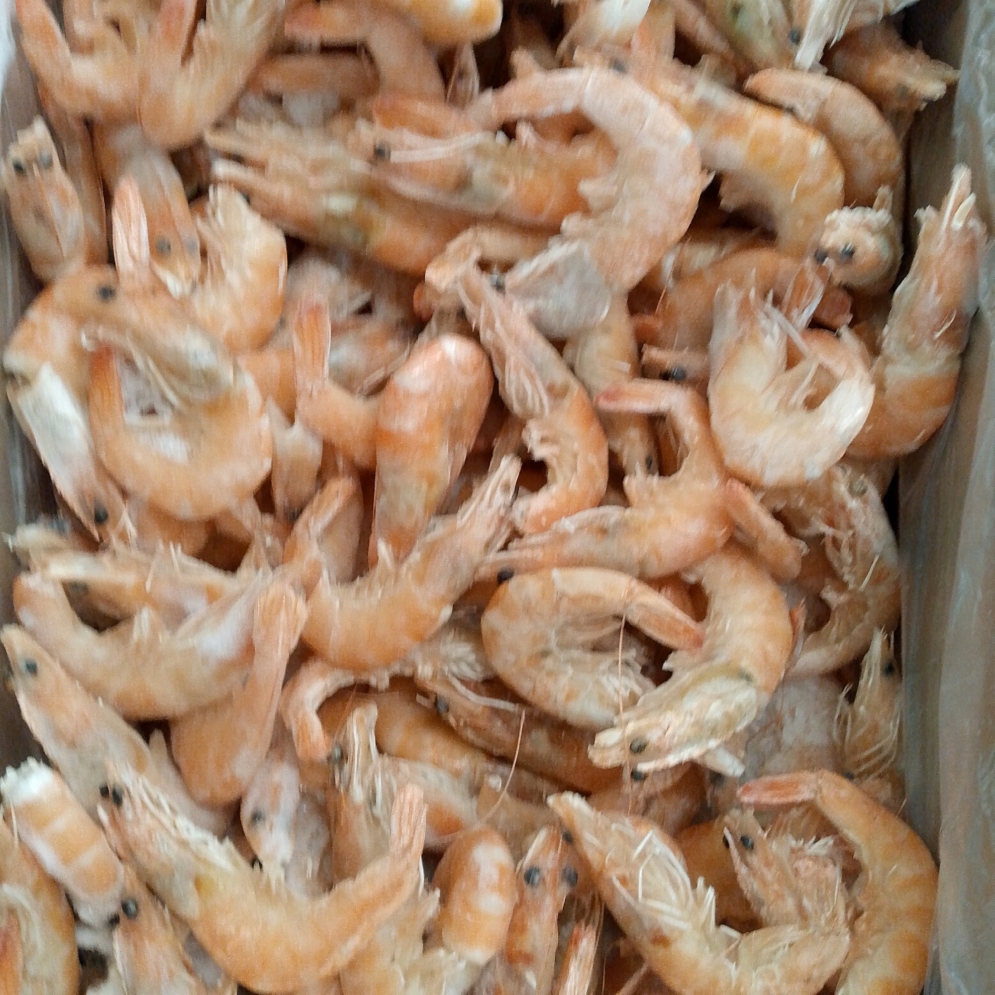 A top-down, medium-shot, full-frame, close-up view captures a large quantity of frozen, uncooked shrimp piled high in a cardboard box. The shrimp are predominantly a pale orange color, some with visible black eyes and delicate, translucent antennae. They are arranged in a dense, somewhat chaotic fashion, with their curved bodies and segmented tails overlapping. The lighting is neutral, casting no harsh shadows, and the background is out of focus, emphasizing the texture and form of the shrimp. The scene appears to be a retail or storage environment, possibly a market or grocery store in Vyazniki, Russia, given the provided context, though no specific landmarks are visible to confirm this location. The focus is entirely on the food product, presented in its raw, frozen state.