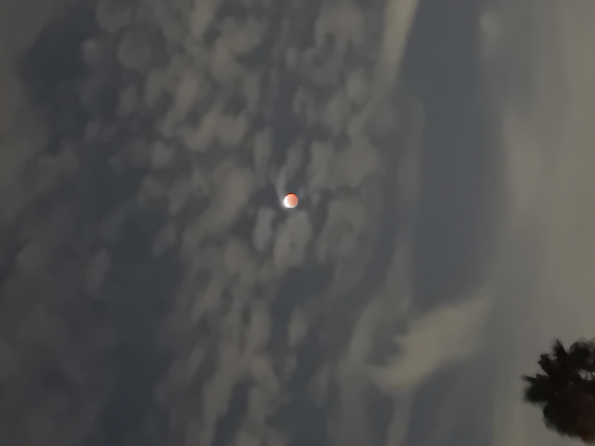 A blood moon is visible in the sky over La Crescenta-Montrose, California. The moon is partially obscured by clouds, which are illuminated by the moon's reddish glow. A tree is visible in the foreground, silhouetted against the sky. The scene is dark and moody, suggesting that the photograph was taken at night.