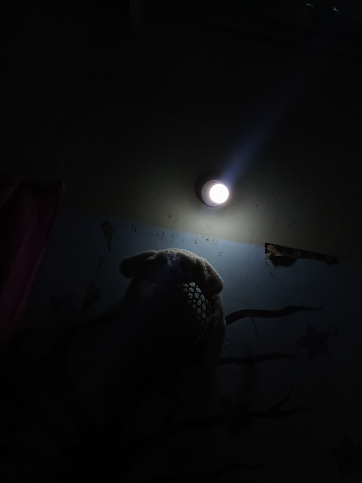 The image shows a dark room illuminated by a single light source on the ceiling. In the foreground, there's a fuzzy object with a net-like pattern, possibly a stuffed animal or mask. The background reveals a wall with peeling paint and drawings of stars and curved lines. There is a curtain on the left. The location, Juan Griego, Venezuela, cannot be confirmed based on the image's content alone.