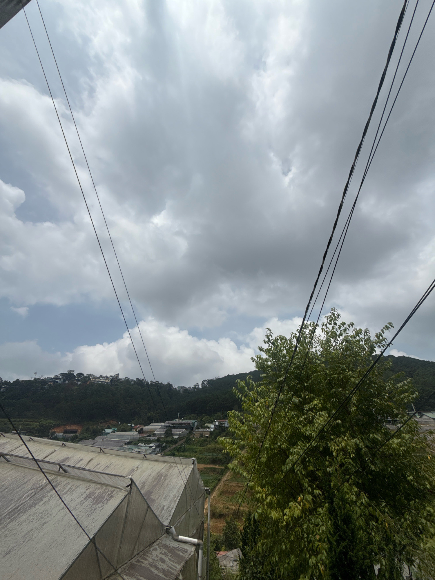 The image shows a view of greenhouses and a hillside covered with buildings and trees under a cloudy sky. The foreground features the slanted, translucent roof of a greenhouse, with several power lines crisscrossing diagonally through the frame. In the middle ground, a cluster of greenhouses is visible, along with some agricultural fields and a small village nestled on the slope of a hill. The background is dominated by a densely forested hillside, with houses scattered among the trees at the top. A large green tree with dense foliage occupies the right side of the image, partially obscuring the view of the landscape. The overall impression is of a rural or semi-rural area, possibly on the outskirts of Xuân Trường - Đà Lạt, Vietnam, characterized by agricultural activity and a hilly terrain.