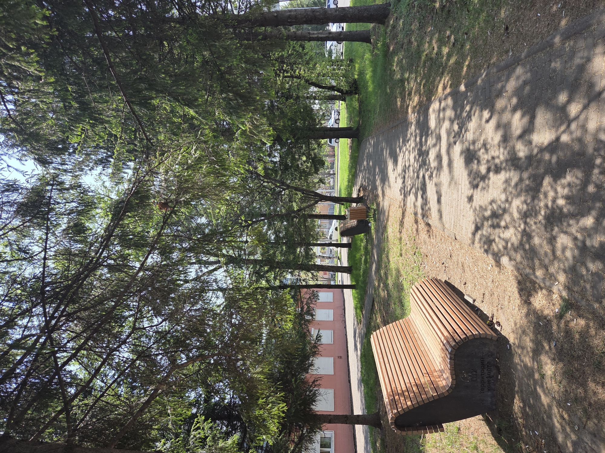 Here's a forensic description of the image:
**Location:** The image appears to be taken in a park or green space in Birobidzhan, Russia. This is supported by text on a wooden bench in the foreground.
**Environment:** The scene is a park with a pathway lined by tall evergreen trees. The ground is covered with a mix of pavement, grass, and fallen pine needles/debris. The lighting suggests a sunny day, with dappled shadows cast by the trees across the path and ground.
**Objects:**
* Two benches, with one more prominent in the foreground. The foreground bench has a modern design, made from light-colored wood slats. Text, likely in Russian, is visible on the bench. The second bench is further down the path, appearing smaller and less detailed.
* A paved or cobblestone pathway stretches into the distance.
* Tall evergreen trees line both sides of the path.
* A pink building is visible beyond the trees.
**People/Subjects:** There are no people visible in the image.
**Actions/Interactions:** None observed.
**Summary:** The image captures a peaceful park scene in Birobidzhan, Russia. The scene consists of benches, a pathway lined by trees, and a nearby building. The image is taken on a sunny day with no people present.
