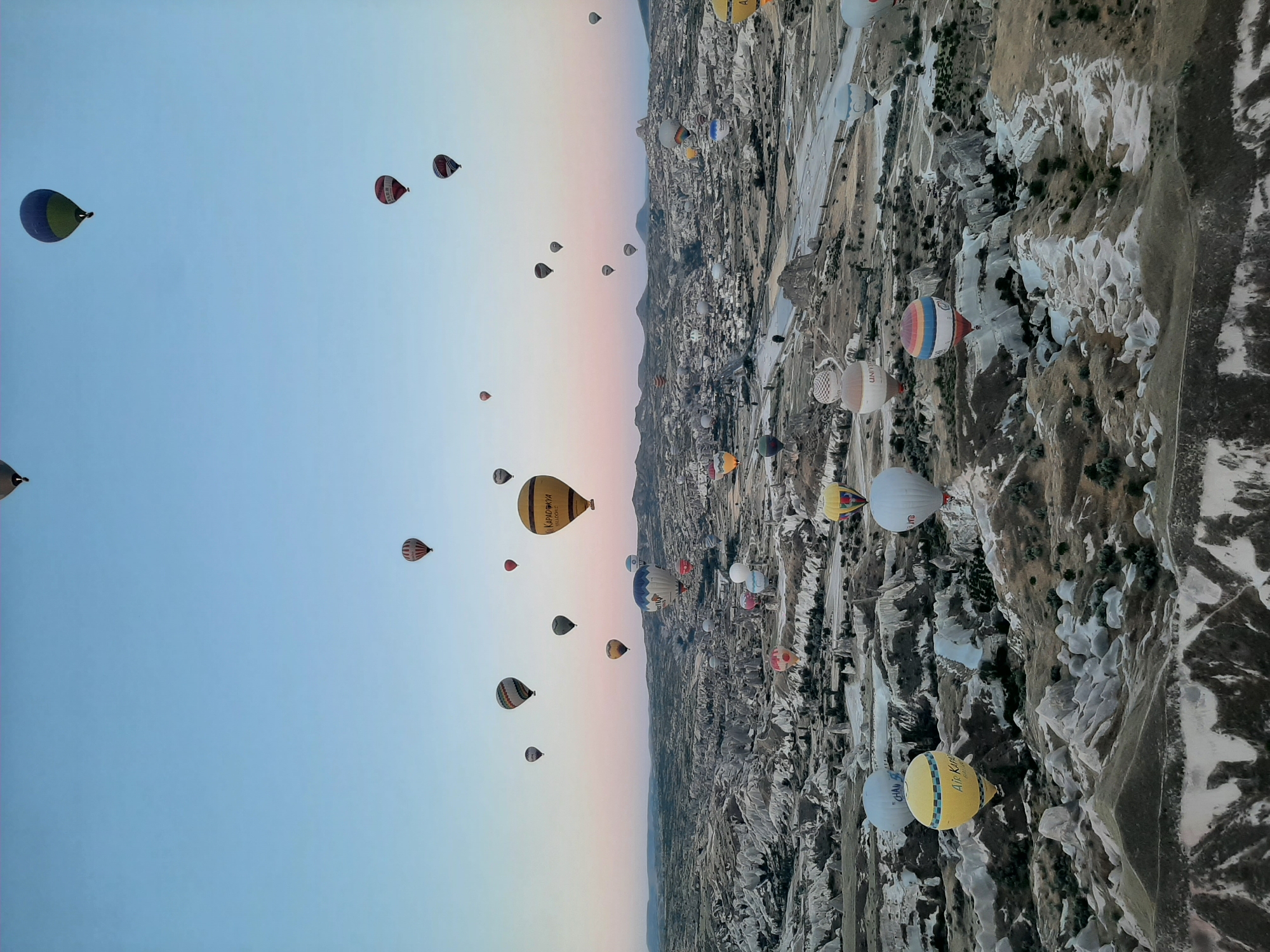 The image depicts a vast, arid landscape in Cappadocia, Turkey, characterized by unique rock formations and valleys. The sky is clear and blue, with a hint of pink on the horizon, suggesting either sunrise or sunset. The main subjects of the image are numerous hot air balloons, which are scattered across the sky at various altitudes. These balloons are of different colors and patterns, with some featuring logos or text, such as "Air Kapadokya" and "UNİVERSAL." The balloons are either ascending or stationary in the air, creating a visually striking scene. The rugged terrain below is dotted with sparse vegetation and some buildings or structures, indicating a sparsely populated area. The overall impression is one of a breathtaking aerial spectacle, capturing the popular tourist activity of hot air ballooning in Cappadocia, a region known for its geological wonders and which includes the city of Avanos.