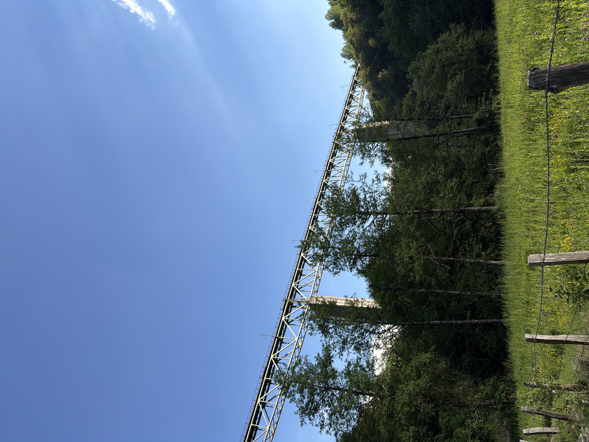 The image depicts a long, green railway bridge spanning a valley in Bojišta, Montenegro. The bridge is constructed with a lattice framework and supported by tall concrete pillars. The clear, blue sky occupies a large portion of the frame. Trees and green vegetation cover the landscape on either side of the bridge. A wooden fence with barbed wire runs along the edge of a grassy field in the foreground. The photograph is oriented vertically, giving the impression of looking upwards at the bridge.