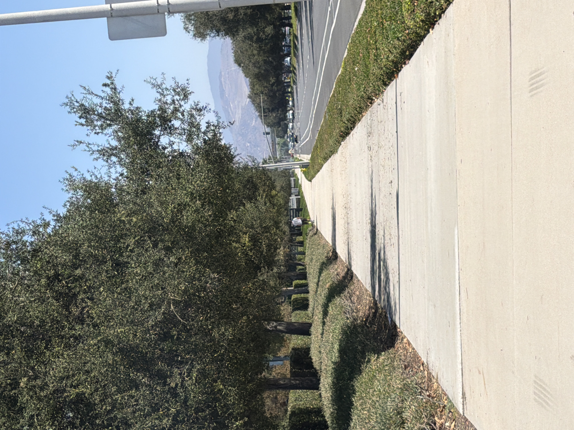 The image shows a sidewalk bordering a street lined with trees and manicured bushes. A person is walking on the sidewalk in the distance. The street has multiple lanes of traffic, and cars are visible. In the background, hills and mountains are visible under a clear blue sky. The scene appears to be in an urban or suburban area. The location is the city of Irvine, United States of America.