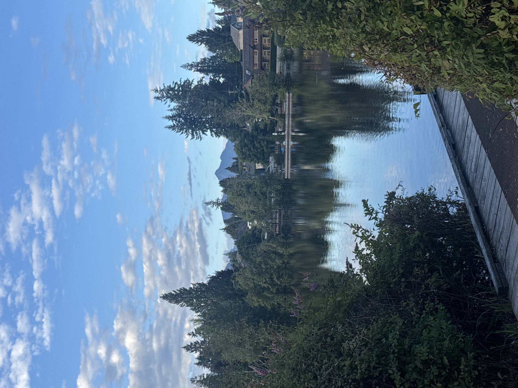 This is a vertical, eye-level, full shot of a tranquil lake with a boardwalk in the foreground. The lake is in the city of Coquitlam, Canada, specifically likely within a park like Mundy Park or one of the other urban lakes in the area. The water reflects the surrounding trees and the sky, which is bright blue with scattered white clouds.
In the foreground, a wooden boardwalk leads along the edge of the water. To the left and right, lush green foliage and some flowering bushes with purple blooms frame the scene.
Across the lake, a line of trees separates the water from a residential area. Houses with pitched roofs are visible among the trees. A small wooden dock extends into the water from the far shore, where several people are standing, some appearing to be fishing. In the background, mountains are visible in the distance, their peaks softened by the haze. The overall atmosphere is peaceful and serene, suggesting a calm morning or early evening.