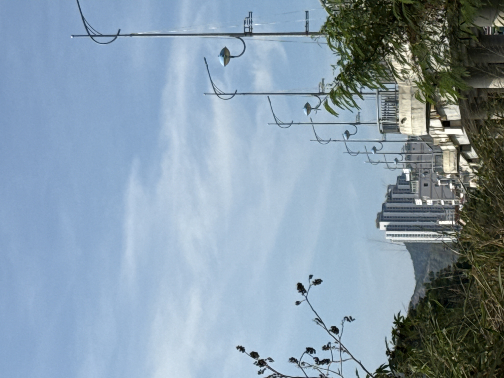 In Bac Nha Trang Ward, Vietnam, an urban landscape unfolds under a partly cloudy sky. A row of modern lampposts with distinctive curved arms lines an elevated structure, possibly a bridge or walkway, which extends into the distance. These lampposts are spaced evenly, and some of their blue light fixtures are visible. In the background, a cluster of tall, contemporary buildings, characterized by their white facades and numerous windows, dominates the skyline. The structures are set against a backdrop of rolling hills, suggesting a city situated near natural terrain. In the foreground, lush green foliage and dry, dark branches with seed pods create a natural border, framing the urban scene. The overall impression is one of a developing urban area integrated with its natural surroundings.