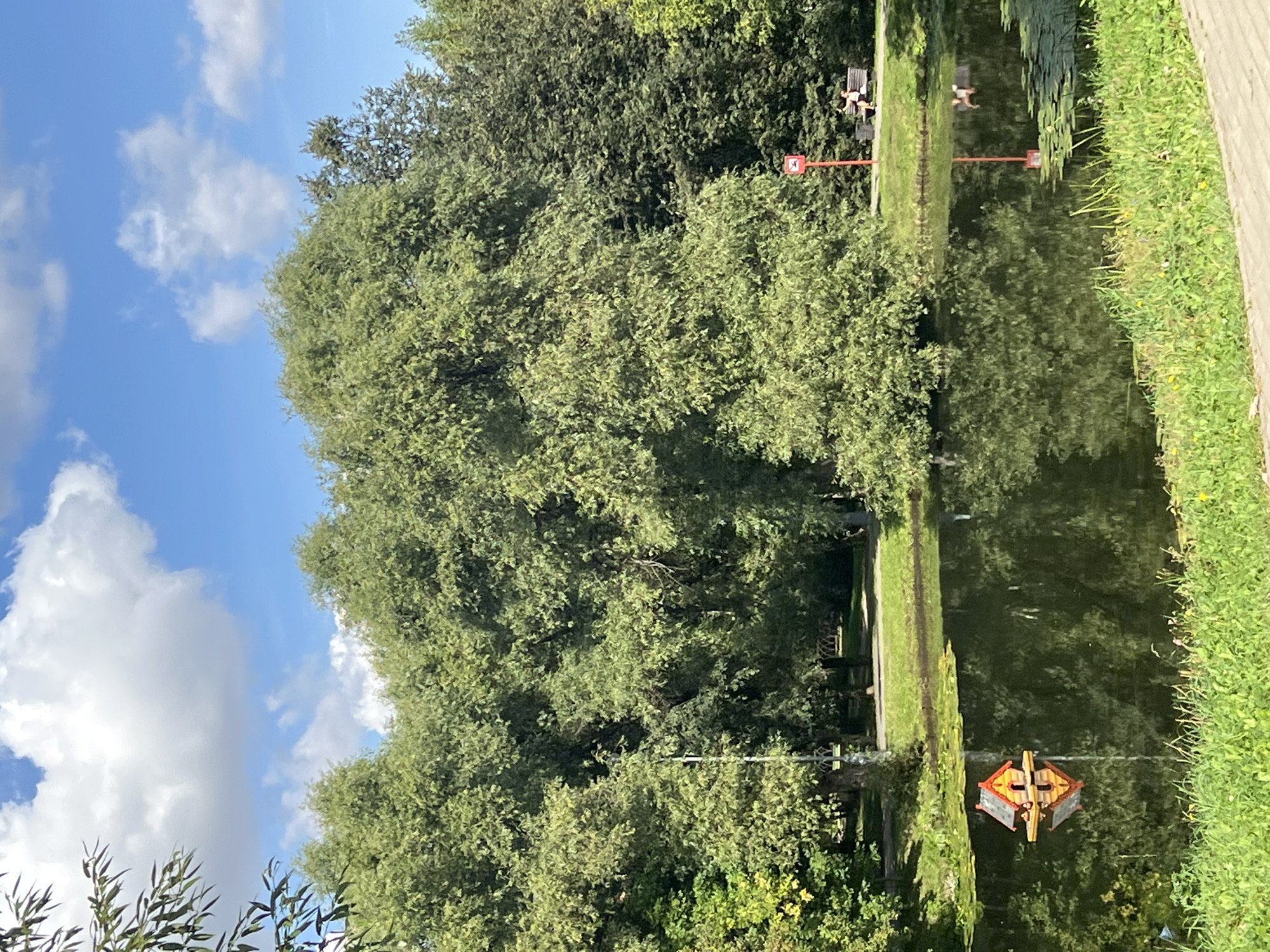 In a park setting with a pond, a small, brightly colored birdhouse, resembling a miniature house with a peaked roof and an orange roof, floats on the water. Lush green trees with dense foliage surround the pond, and their reflections are visible on the calm surface of the water. A paved walkway runs along the edge of the park. In the background, a person is seated on a park bench, and another person is standing nearby. The sky above is a vibrant blue with scattered white clouds. This scene is located in Moscow, Russia.