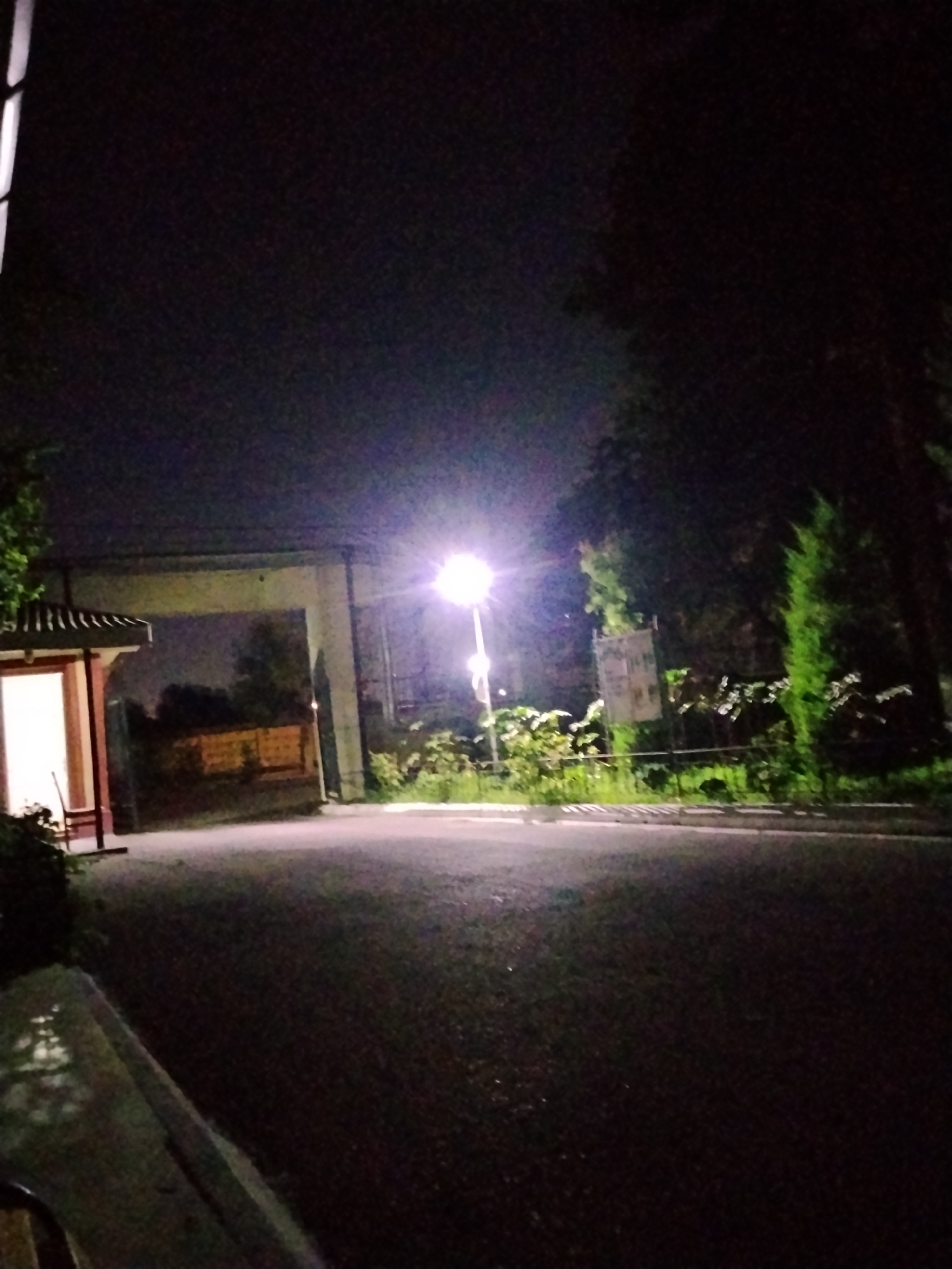 The image depicts a dimly lit scene at night, likely on a street or pathway in Tashkent, Uzbekistan. In the foreground, a paved surface, possibly a road or sidewalk, is visible. To the left, a small structure with an illuminated interior, possibly a bus stop or a small kiosk, is present. Beyond this, a large, arched concrete structure spans across the scene, suggesting an overpass or part of a building. A streetlamp with a bright, glowing bulb illuminates the area, casting light and shadows. Dense foliage and trees are scattered throughout the background, with some appearing to be evergreens. The overall atmosphere is dark and somewhat secluded, with the artificial light from the streetlamp being the primary source of illumination. No people or specific activities are discernible in the image.