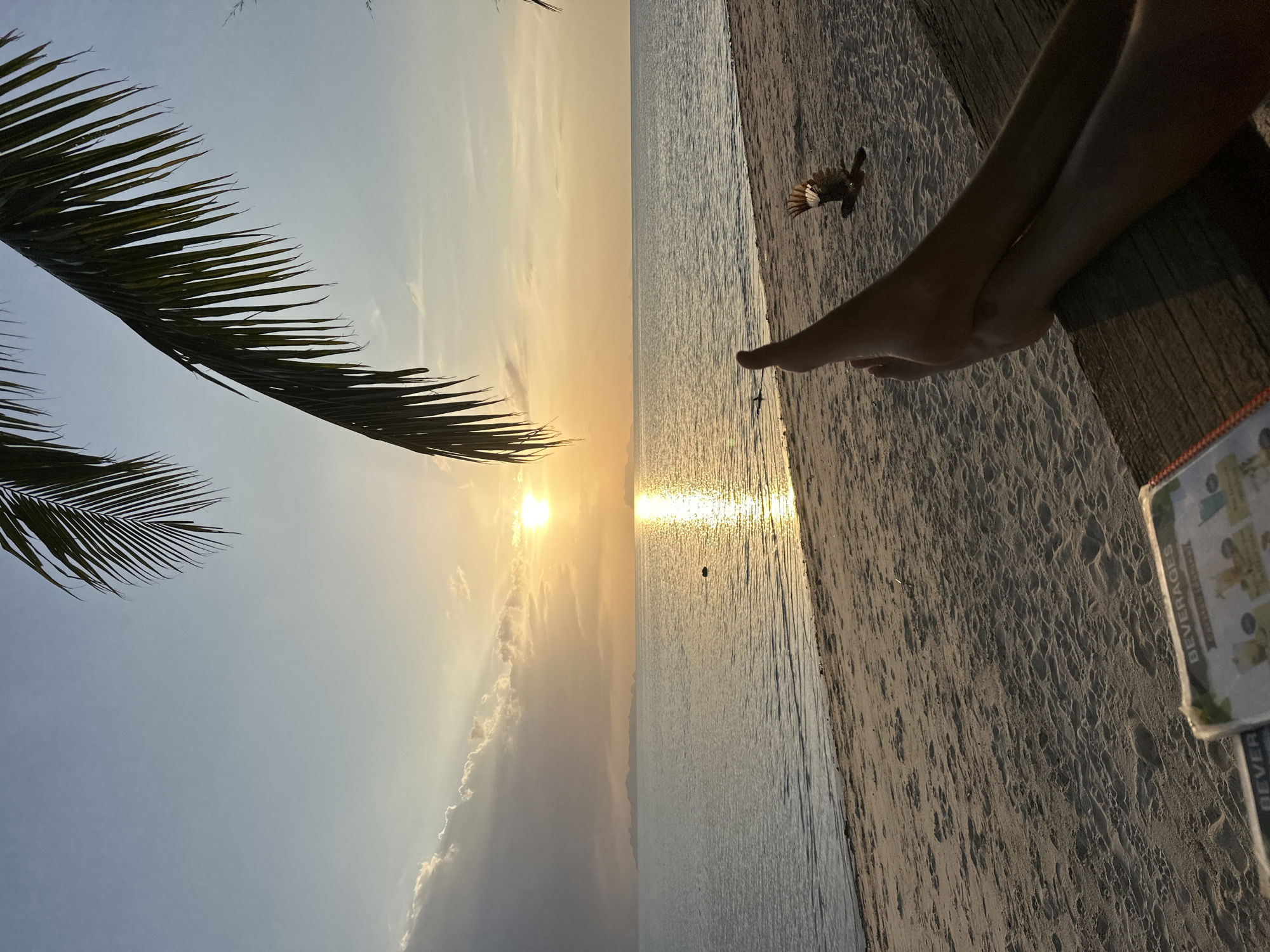 This is a photograph of a tranquil beach scene at sunset in the Ko Samui District of Thailand. The image is framed by a palm frond in the upper left and a wooden surface in the lower right. A person's legs are visible in the foreground, with their feet crossed. In the middle ground, the calm ocean stretches to the horizon, reflecting the warm hues of the setting sun. A lone rock is visible in the water. On the sandy beach, a bird is captured in mid-flight. In the distance, the silhouettes of islands can be seen against the colorful sky. A menu is partially visible on the wooden surface in the lower left corner. The overall atmosphere is one of relaxation and natural beauty.