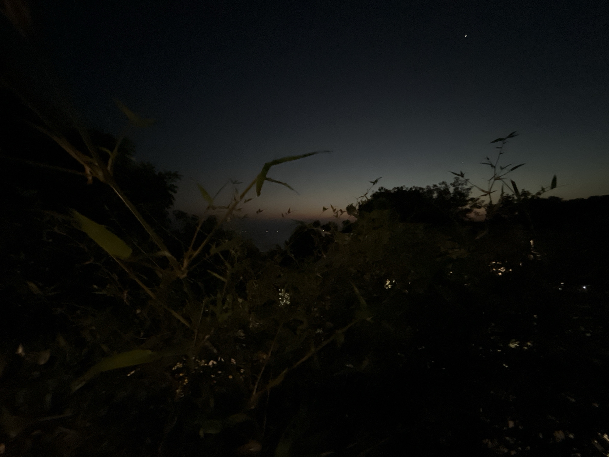 A low-angle, wide shot captures a dark, twilight scene in Karimunjawa, Indonesia, featuring silhouetted foliage and a deep blue, gradient sky. The foreground is dominated by dark, out-of-focus leaves and thin branches, some of which are illuminated by faint, scattered points of light, suggesting distant or artificial illumination. In the middle ground, a dense cluster of dark trees forms a shadowy, undulating horizon line. The sky above transitions from a deep, nearly black hue at the top of the frame to a lighter, dusky blue near the horizon. A single, bright star is visible in the upper right quadrant of the sky. The overall impression is one of a natural landscape at dusk or dawn, with the lights of a settlement possibly visible in the distance.