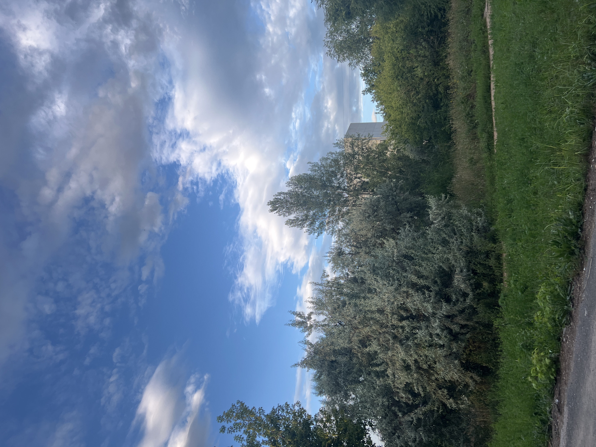 The image depicts an outdoor scene with a focus on trees and the sky. In the foreground, a path or road is visible, bordered by lush green grass. Behind this, a dense collection of trees with silvery-green foliage dominates the midground. Further back, taller trees with lighter green leaves are interspersed, and a modern, light-colored building with straight edges is visible between the trees, suggesting an urban or suburban environment. The sky above is a vibrant blue, filled with a mix of white and gray clouds, some appearing wispy and others more substantial, indicating dynamic weather conditions. The overall impression is that of a natural landscape situated within or adjacent to a developed area. The location is identified as Ulyanovsk, Russia. There are no people or animals visible in the image, and no specific actions are depicted.