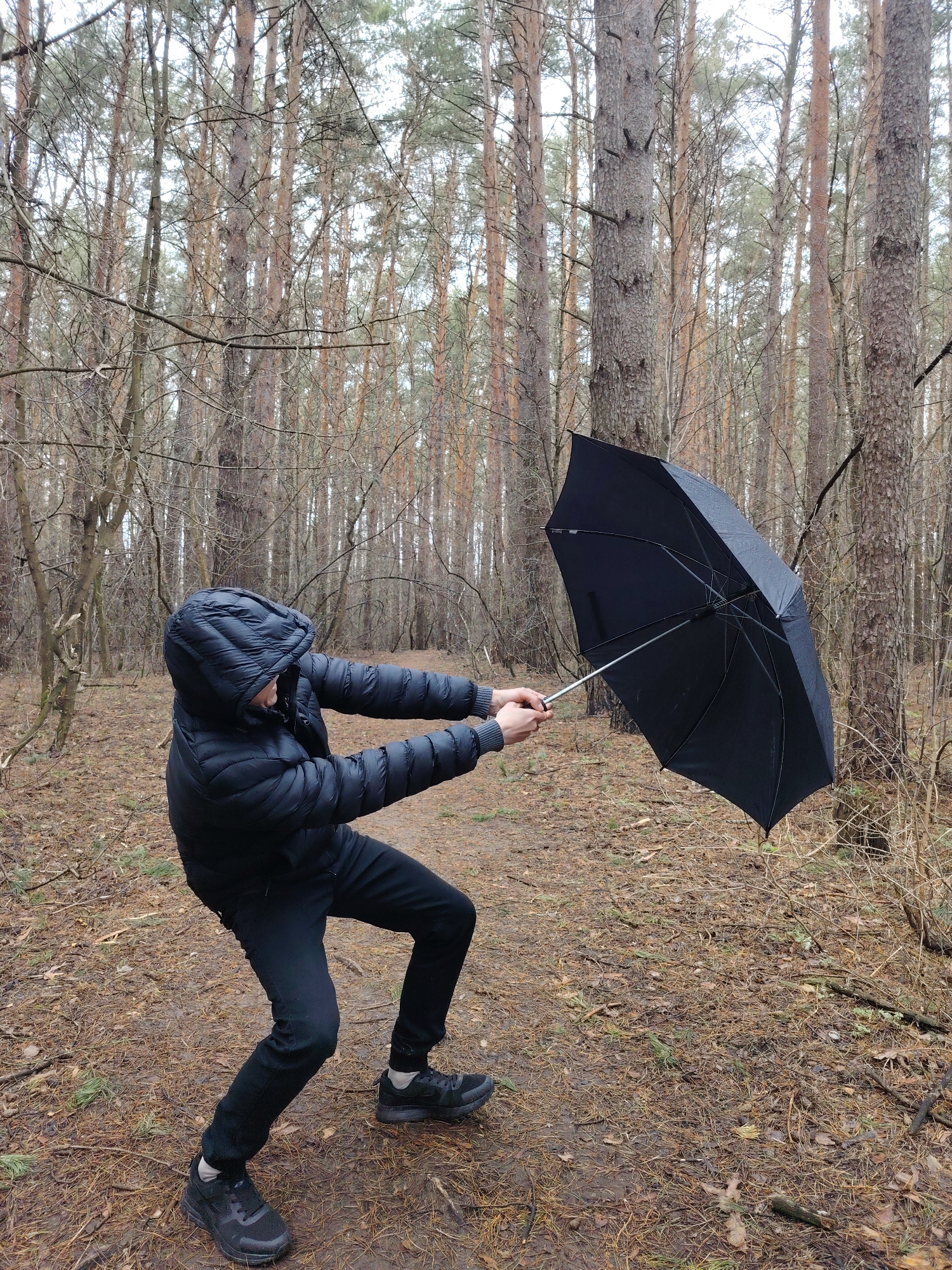 A person wearing a black hooded jacket and black pants struggles to hold onto a black umbrella in a wooded area. The umbrella is bent outward by the wind. The ground is covered in pine needles and branches. The background is filled with tall, bare trees. The location is Chaikovsky, Russia.