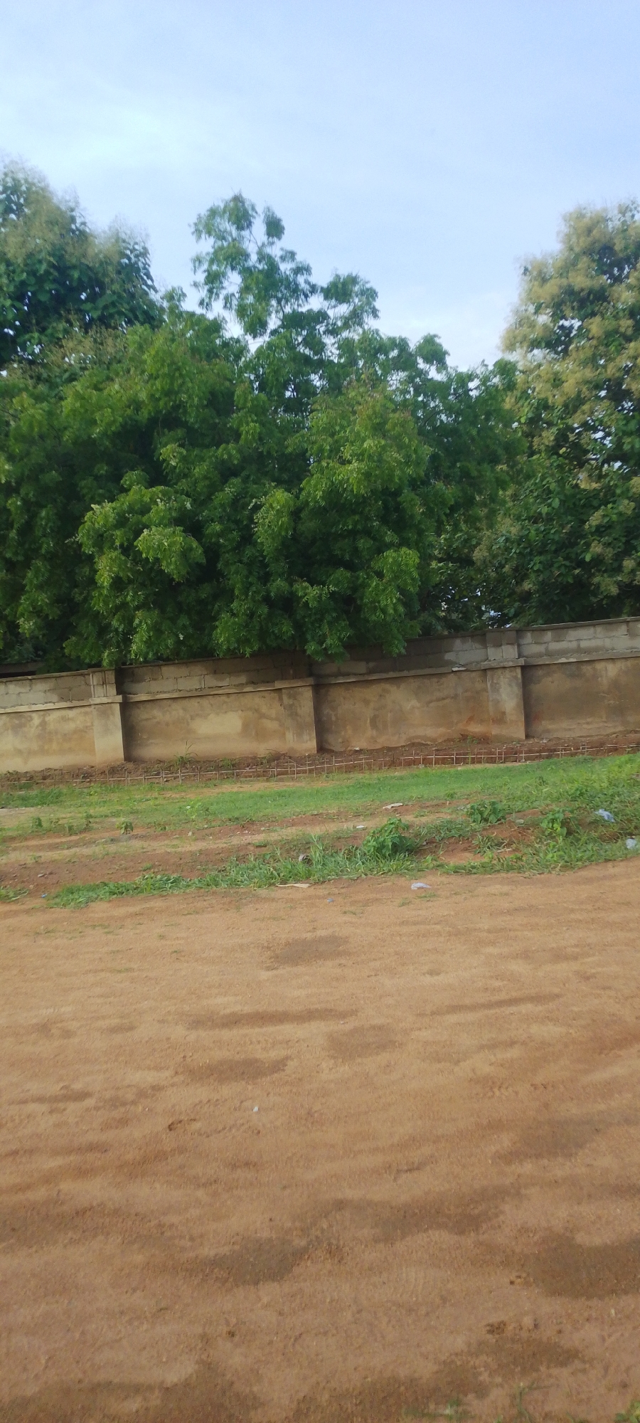 The image depicts an outdoor scene, likely in Jalingo, Nigeria, featuring a low, light-brown concrete wall topped with light-colored blocks, running horizontally across the frame. Behind the wall, a dense line of lush green trees with full foliage stretches across the upper portion of the image. The sky above is a pale, overcast blue. In front of the wall, a strip of patchy green grass with some scattered brown earth is visible. The foreground is dominated by a sandy, dirt path or road, its surface marked with subtle shadows and textures. No people or animals are present in the image, and there are no discernible actions or interactions occurring. The scene appears to be a quiet, naturalistic setting with man-made structures.