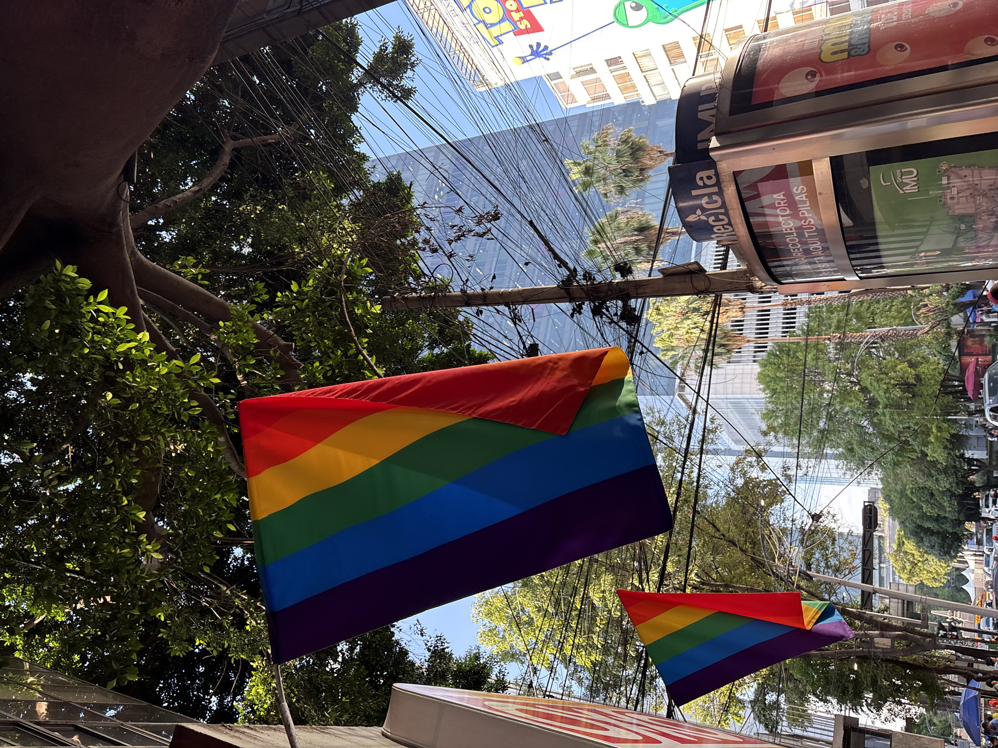 The image shows a low-angle view of a street scene, likely in Mexico City. Two rainbow flags, symbolizing LGBTQ+ pride, are prominently displayed, one larger than the other. They are suspended from poles or wires, fluttering in the breeze against a backdrop of lush green trees and a clear blue sky.
Behind the flags, a dense network of electrical wires crisscrosses the frame, typical of urban environments. In the background, modern glass-fronted buildings and older structures are visible, suggesting a mix of architecture. The orientation of the image is slightly tilted, adding a dynamic perspective.
One of the buildings has a large advertisement or sign that is partially visible, featuring the words "Recicla" (Recycle) and "RECOLECTORA" and "AQUÍ TUS PILAS" (Here your batteries). Another sign shows a cartoon frog-like character with large eyes and text above it that is difficult to decipher. The presence of these signs, along with the urban setting and modern buildings, points to a commercial or public area.
The lighting suggests it is daytime, possibly late morning or early afternoon, with bright sunlight casting shadows. The overall mood is one of vibrant city life with a clear display of pride. There are no explicit people visible in the foreground, but the presence of flags and urban elements implies a public space where people would be present.