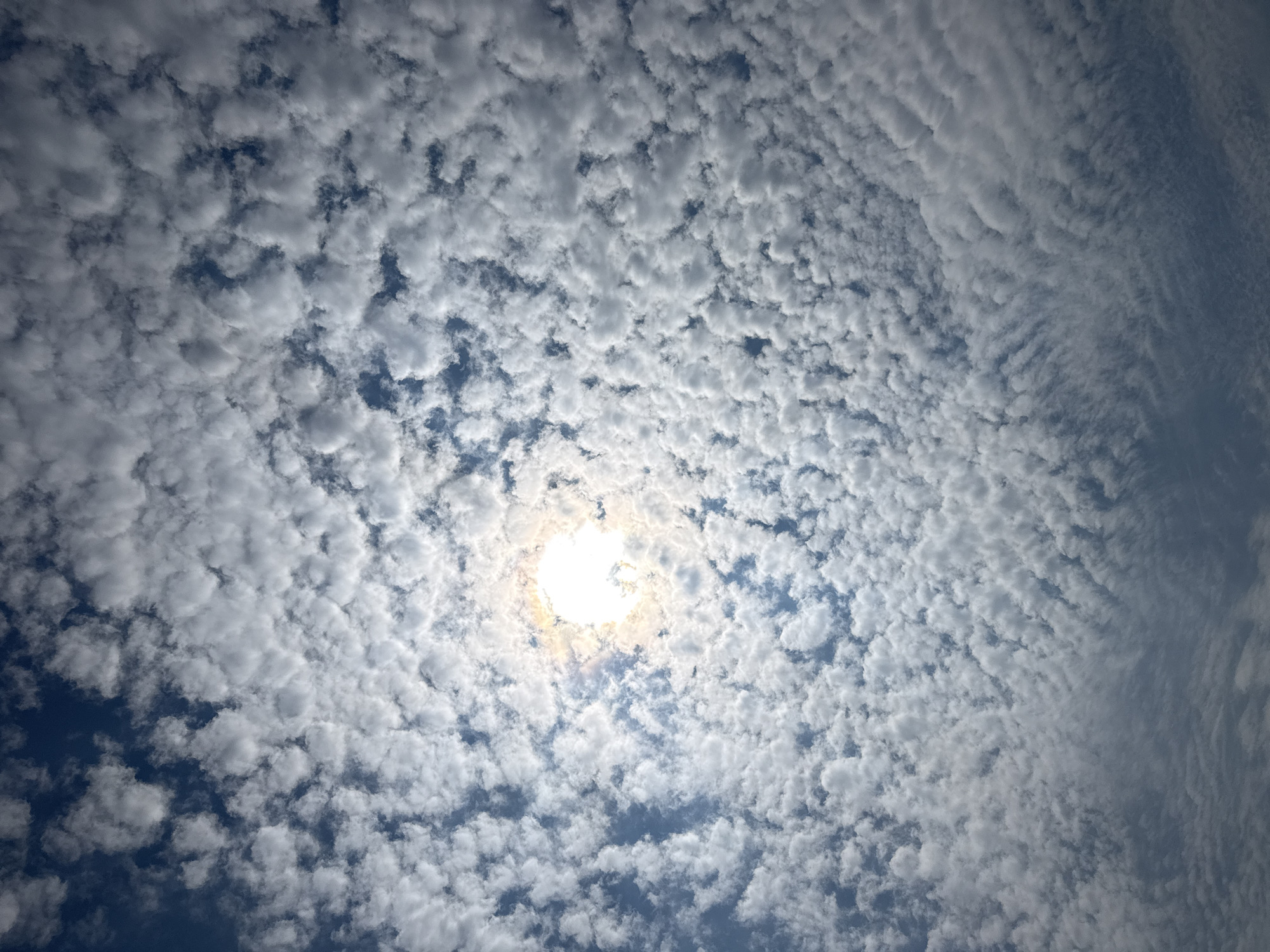 The image depicts a sky filled with altocumulus clouds, with the sun shining through them near the center. The scene is likely taken during the day. No people or man-made objects are visible, and the environment consists solely of the sky and clouds. It's not possible to ascertain that this image was taken in Puebla, Mexico, from the content.