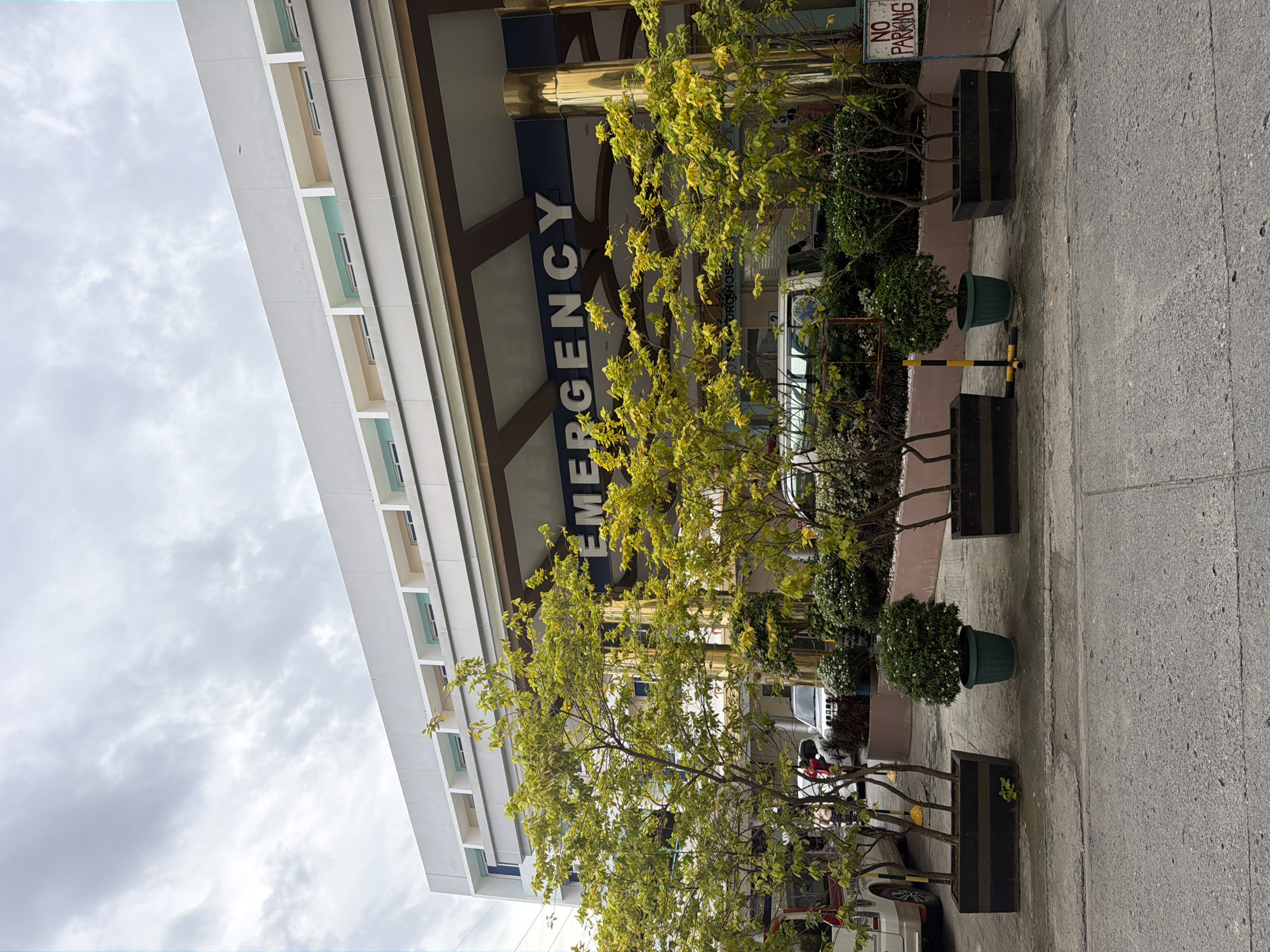 The image shows the exterior of a hospital in Davao City, Philippines, with the word "EMERGENCY" prominently displayed on its facade. In the foreground, several potted plants and trees with yellowing leaves are arranged along a paved walkway. Beyond the plants, a white SUV and a portion of a white van are visible parked. The building's architecture features modern elements with large golden columns and a white facade with recessed windows. The sky is overcast with visible clouds. A "NO PARKING" sign is positioned to the right of the entrance.