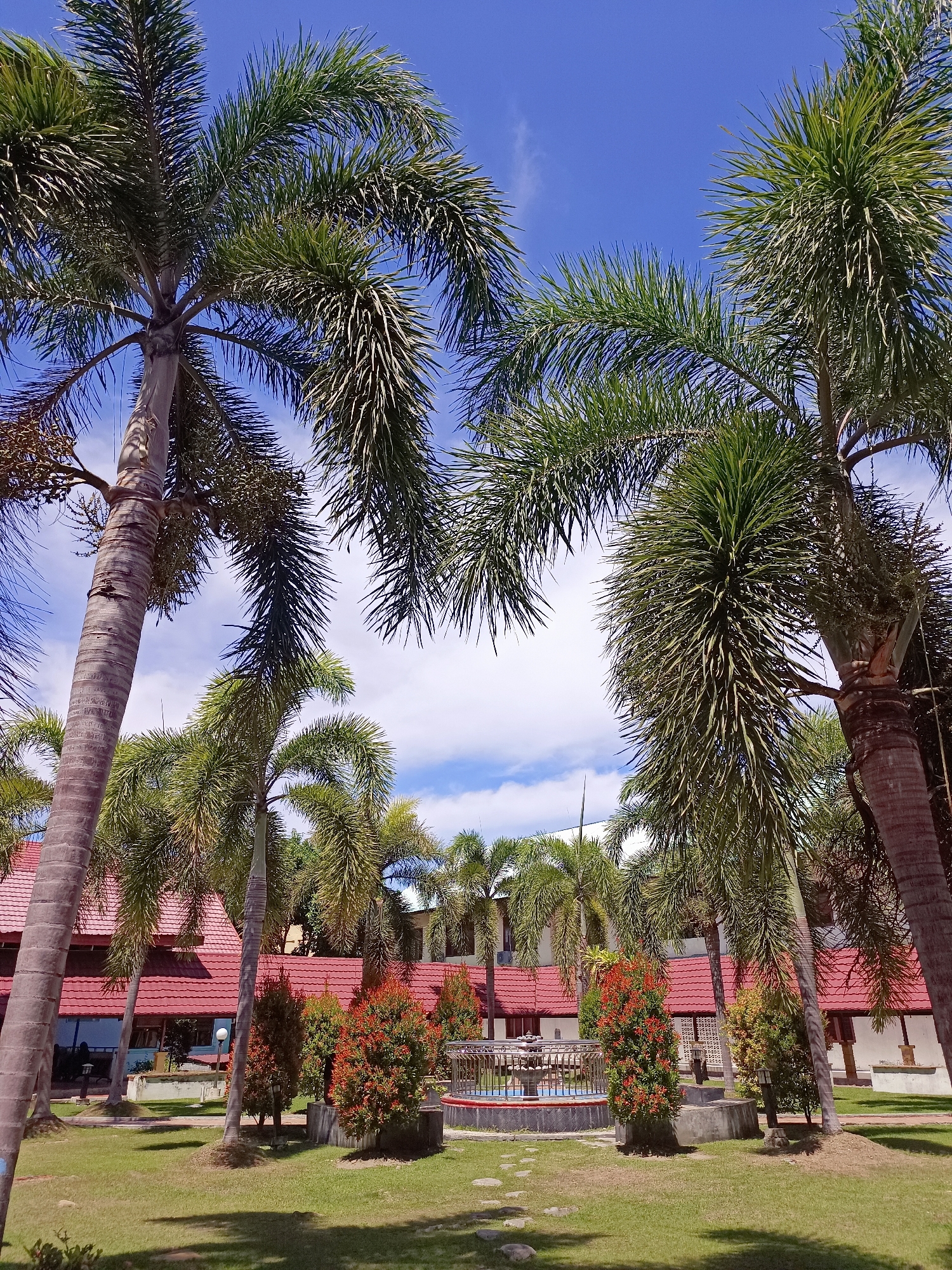 The image depicts an outdoor scene with several tall palm trees, their fronds reaching towards a bright blue sky with scattered white clouds. In the background, a building with a distinctive red tiled roof is visible. The building appears to be a resort or a communal area, with white walls and some architectural details. In the foreground and midground, there is a well-maintained green lawn. A circular fountain with a metal railing is situated on the lawn, surrounded by decorative bushes with red flowers. Stone stepping stones create a path leading towards the fountain. The lighting suggests it is daytime, with shadows cast on the grass, indicating a sunny environment. The overall impression is one of a tropical or subtropical location. This scene is located in Mesjid Reuntoh, Indonesia, a region known for its lush vegetation and warm climate, which aligns with the visual elements of palm trees and vibrant greenery. There are no visible people in the image.